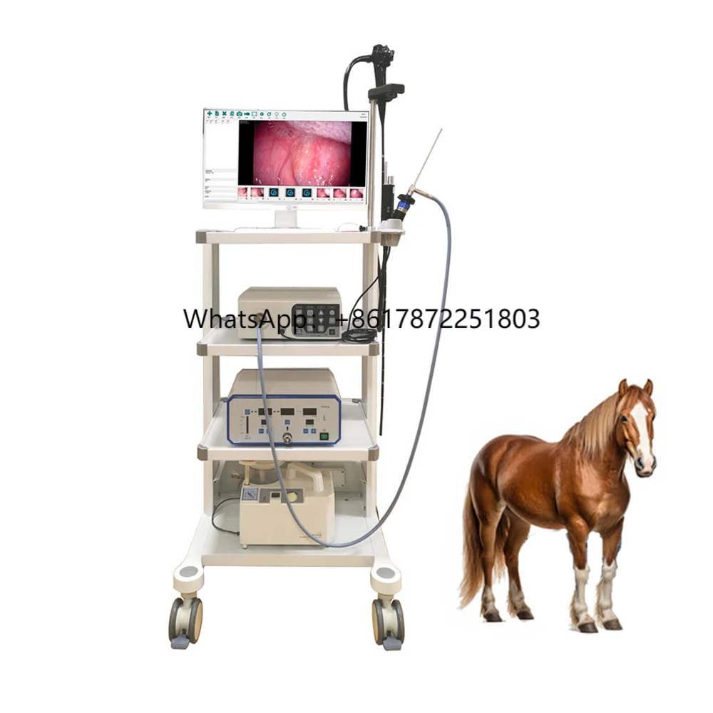 Factory Price Portable Usb Endoscopic Veterinary Big Animal Video Flexible Veterinary Endoscope for Horse
Factory Price Portable Usb Endoscopic Veterinary Big Animal Video Flexible Veterinary Endoscope for Horse