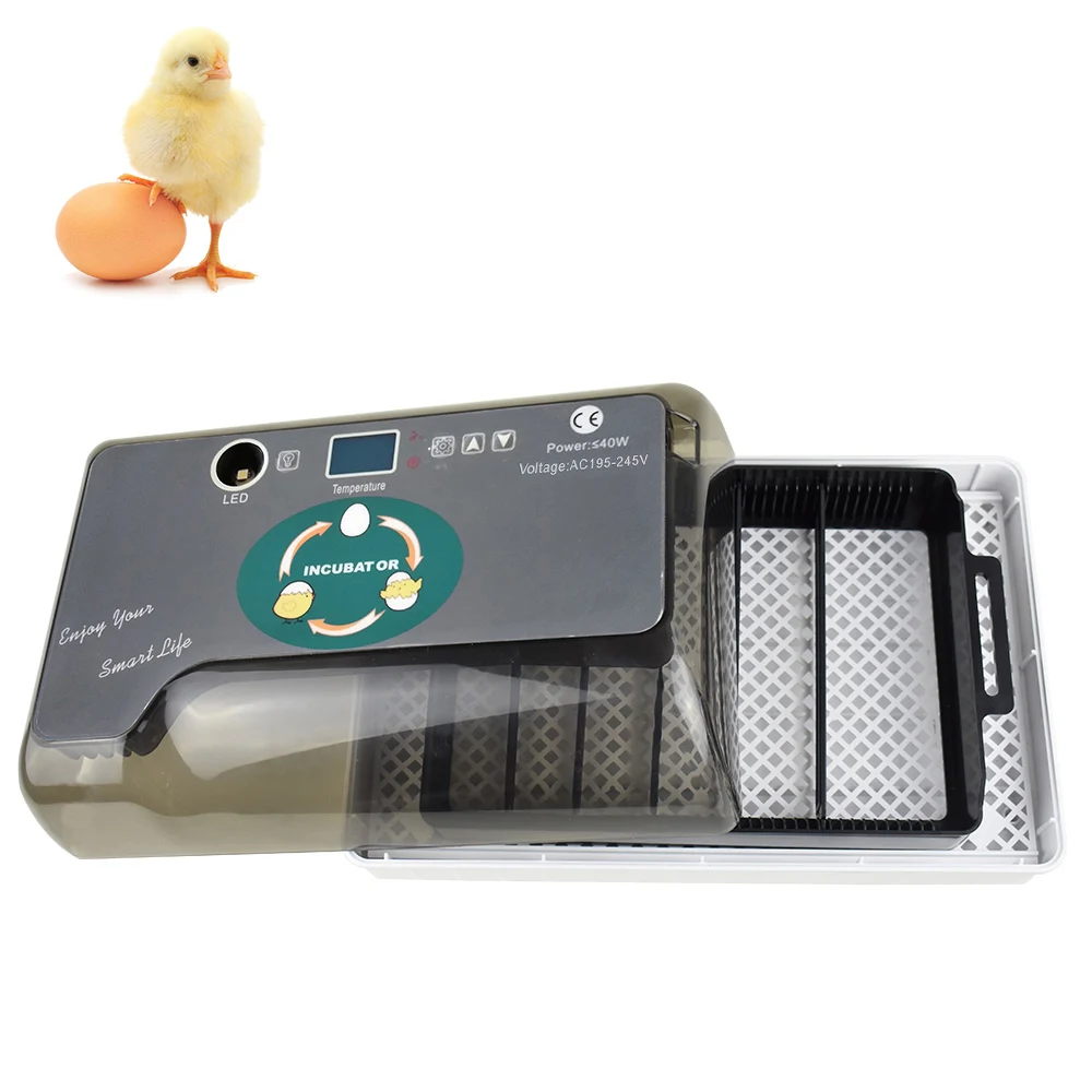 Digital Egg Incubator Automatic Eggs Hatcher with Eggtester Automatic Egg Turning 12 Eggs Poultry Hatcher Eggs Hatcher incubator
Digital Egg Incubator Automatic Eggs Hatcher with Eggtester Automatic Egg Turning 12 Eggs Poultry Hatcher Eggs Hatcher incubator