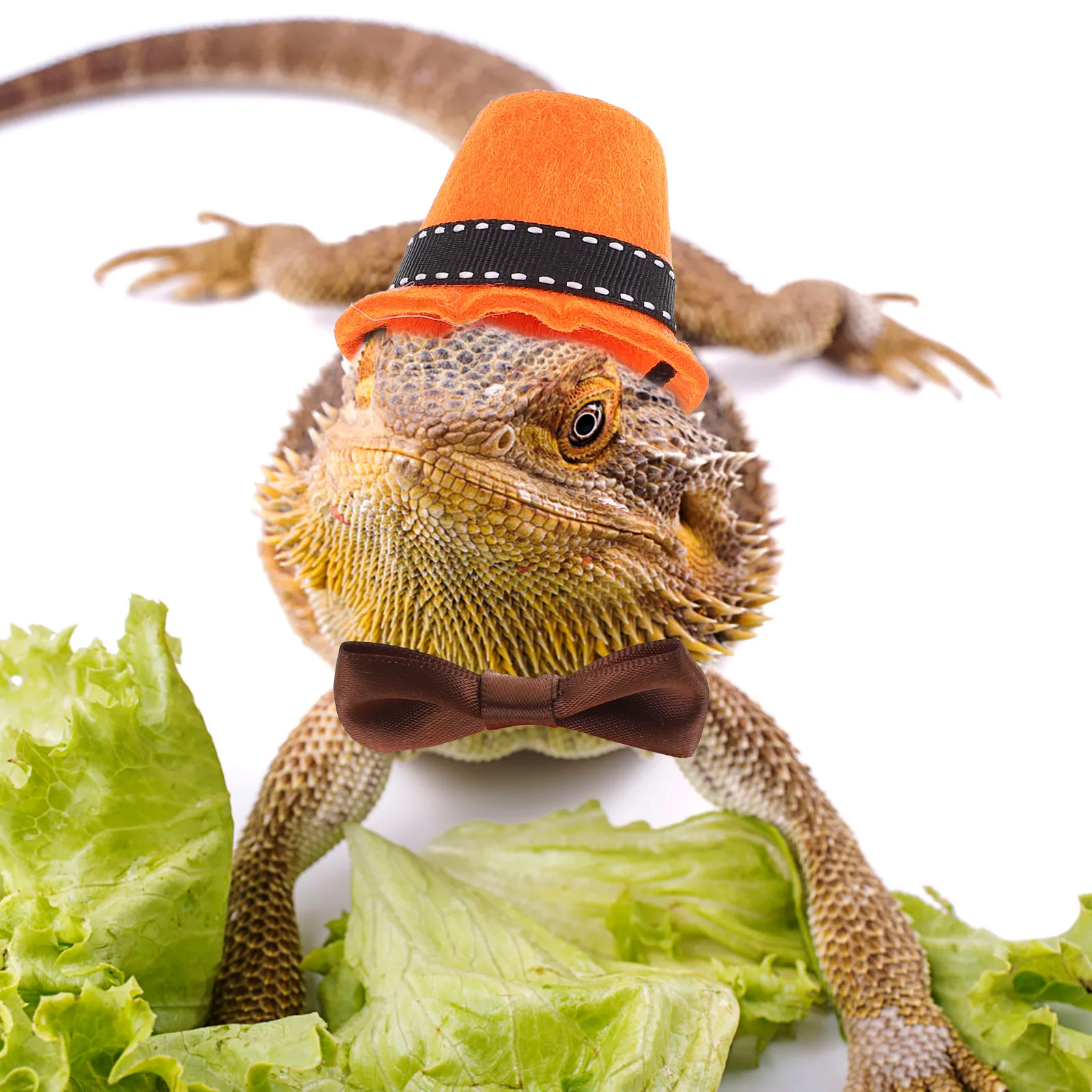 Lizard Hat Bow tie Kit Mini Size Lightweight Comfortable Reptile Costume Accessory Perfect for Festivals Pet Supplies
Lizard Hat Bow tie Kit Mini Size Lightweight Comfortable Reptile Costume Accessory Perfect for Festivals Pet Supplies