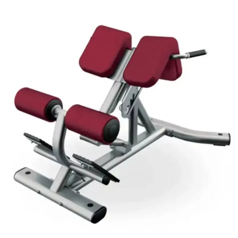 Roman Chair And Sit Up Bench Solid Construction For Gym Back Extension Training And Core Muscle Fitness Exercise
Roman Chair And Sit Up Bench Solid Construction For Gym Back Extension Training And Core Muscle Fitness Exercise