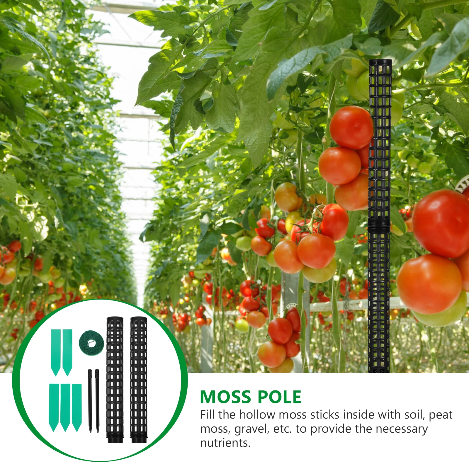 Moss Column Set Indoor Plant Pole Sticks Single Stem Support Stake for Climbing Plants Flowerpot Gardening Supplies Abs
Moss Column Set Indoor Plant Pole Sticks Single Stem Support Stake for Climbing Plants Flowerpot Gardening Supplies Abs