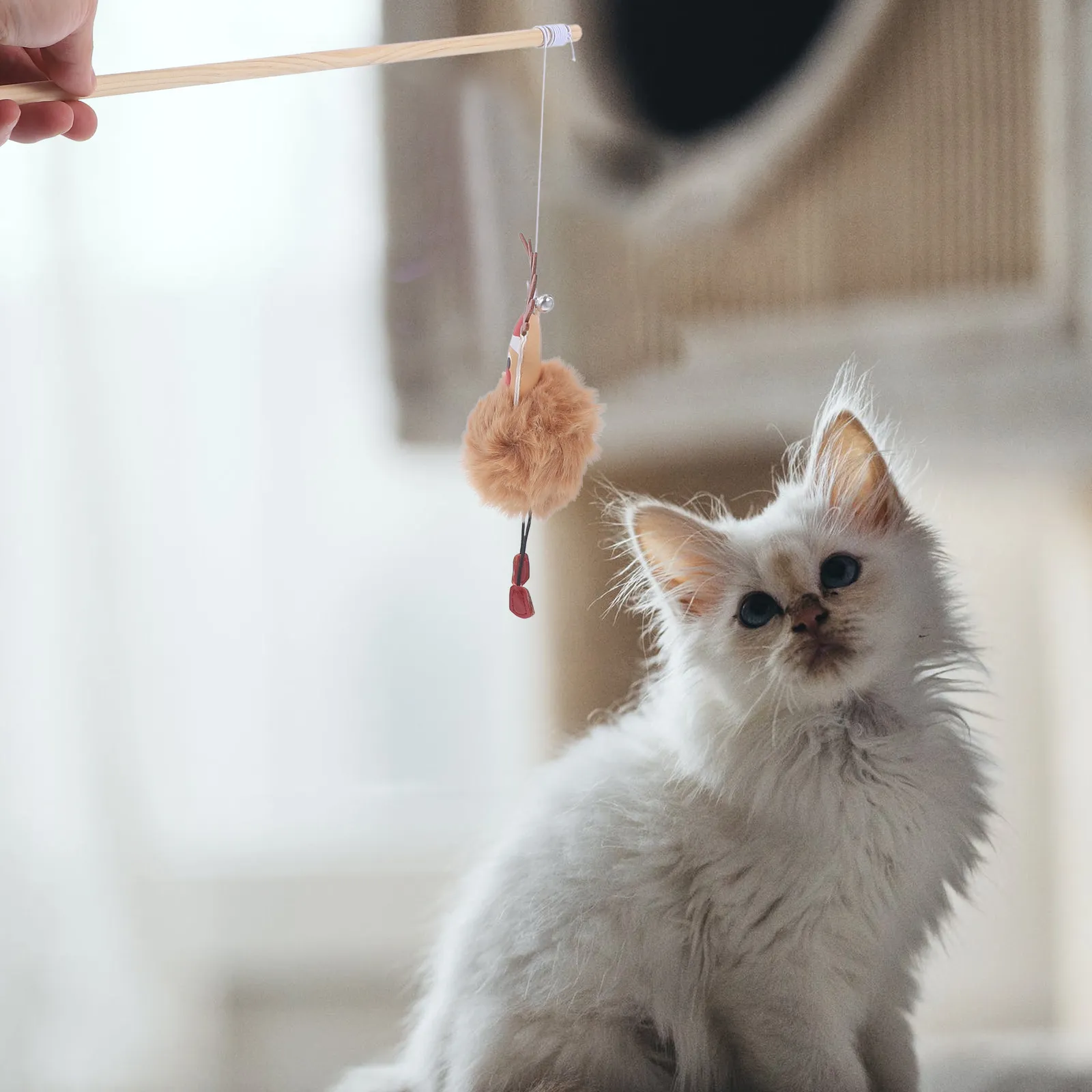 Reindeer Cat Wand Xmas Interactive Teaser for Kittens Indoor Play Exercise Health Fun Decorative Teasing Stick Christmas Cat
Reindeer Cat Wand Xmas Interactive Teaser for Kittens Indoor Play Exercise Health Fun Decorative Teasing Stick Christmas Cat