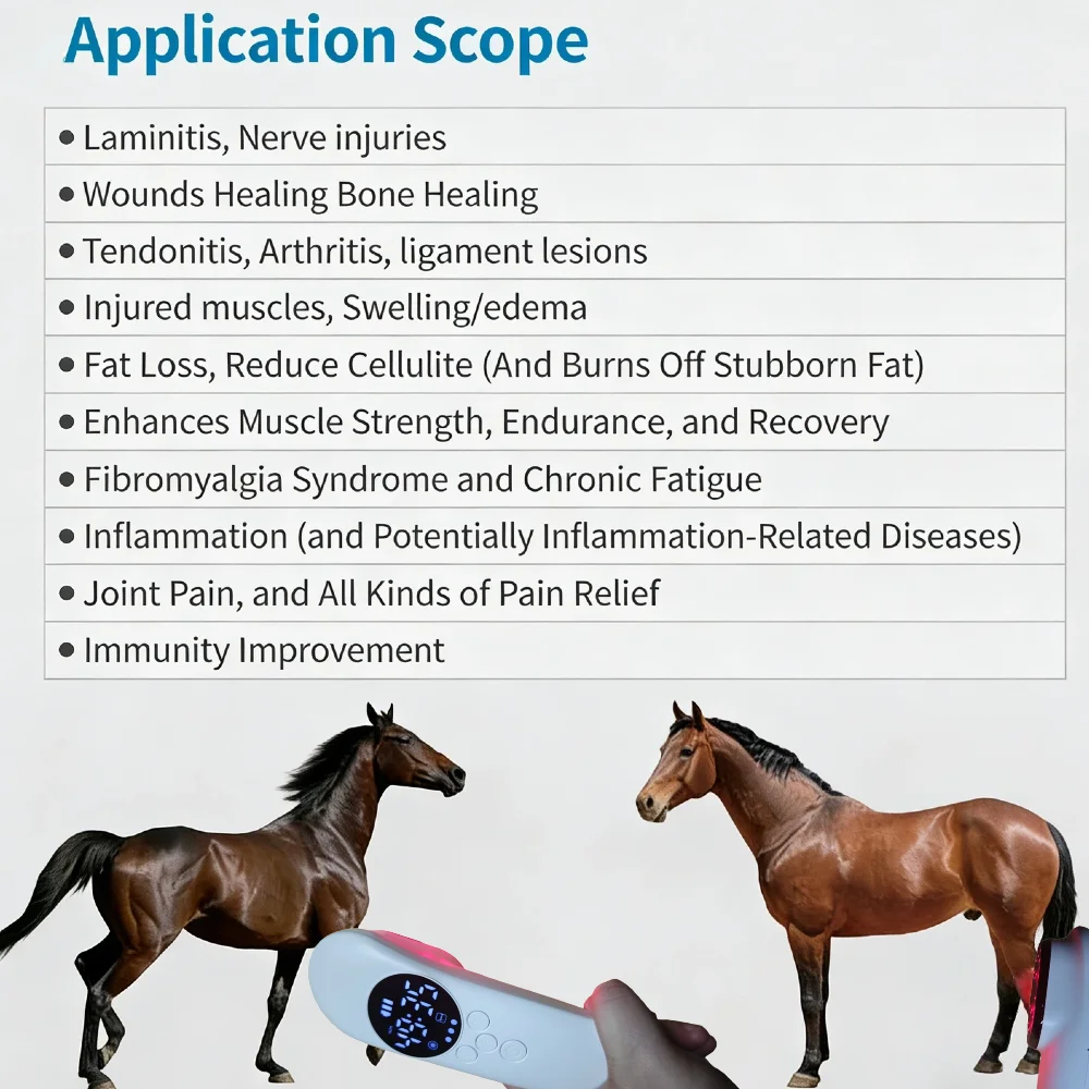 Портативная лазерная терапия 14x650 нм для облегчения боли в теле, облегчения боли в глубоких тканей, ухода за суставами и мышцами, быстрое восстановление тела
Портативная лазерная терапия 14x650 нм для облегчения боли в теле, облегчения боли в глубоких тканей, ухода за суставами и мышцами, быстрое восстановление тела