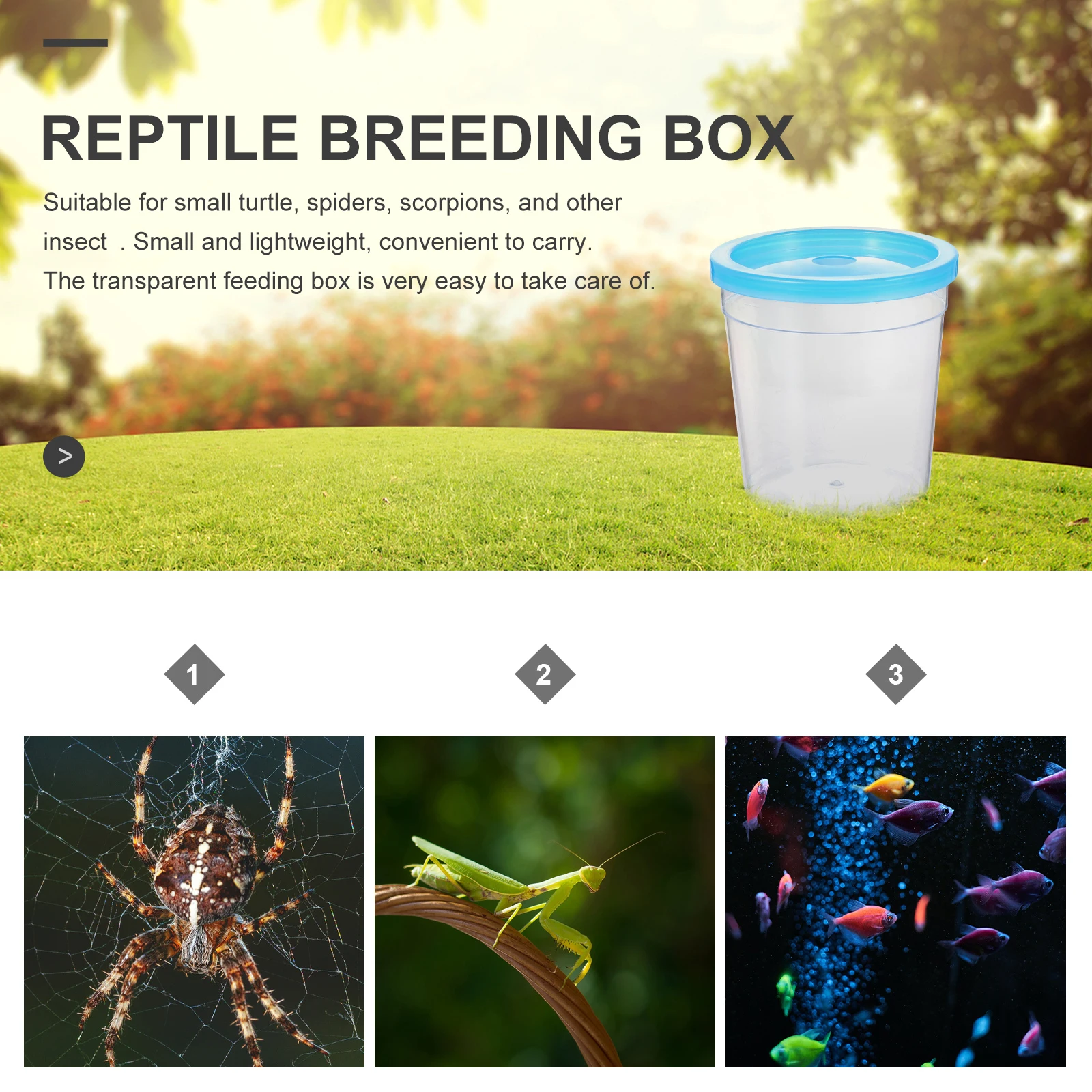 Plastic Reptile Feeding Box Small Transparent Case for Turtle Spider Scorpion Insect Aquarium Breeding Nest Lightweight Portable
Plastic Reptile Feeding Box Small Transparent Case for Turtle Spider Scorpion Insect Aquarium Breeding Nest Lightweight Portable