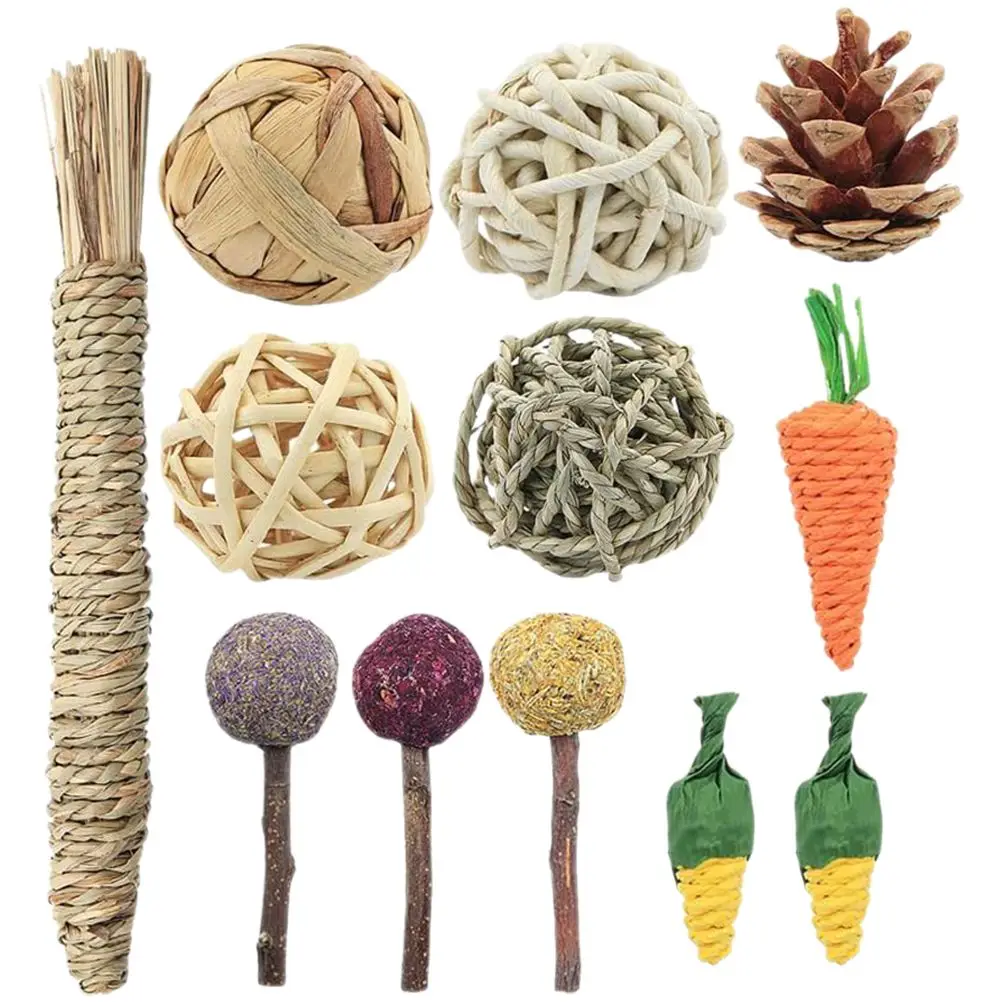 12pcsDurableChewToysforHamstersRabbitsGuineaPigsCageAccessoriesTeethCleaningFunPetSuppliesHedgehogRatToy
12pcsDurableChewToysforHamstersRabbitsGuineaPigsCageAccessoriesTeethCleaningFunPetSuppliesHedgehogRatToy