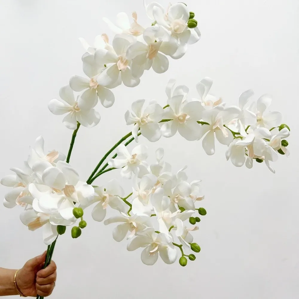 3D Long Branch Artificial Phalaenopsis 86cm Hanging Fake Flower Silk Vanda Flower Art Accessories
3D Long Branch Artificial Phalaenopsis 86cm Hanging Fake Flower Silk Vanda Flower Art Accessories