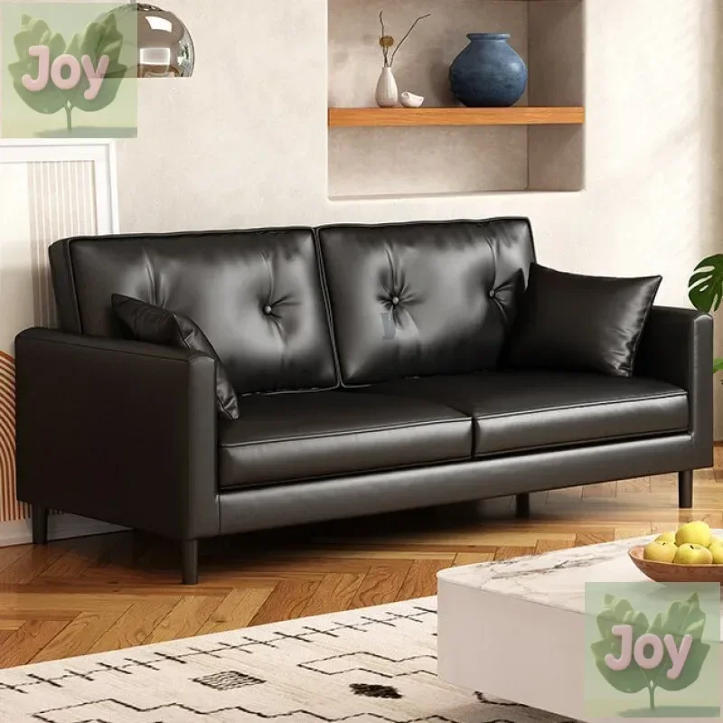 Pibu Apartment Sofa Small Apartment Rental Clothing Store Beauty Salon Rest Area Reception Double Black Sofa
Pibu Apartment Sofa Small Apartment Rental Clothing Store Beauty Salon Rest Area Reception Double Black Sofa