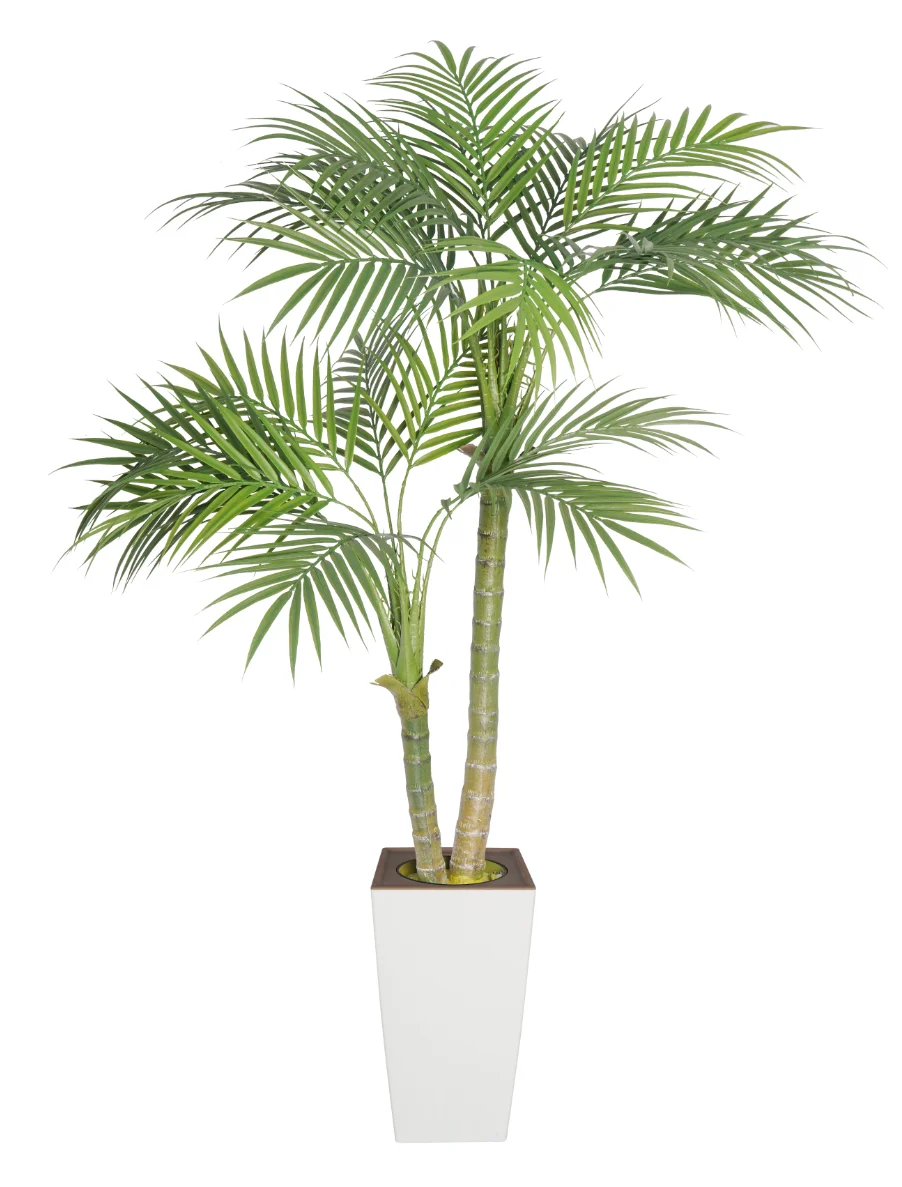Artificial Pearl Palm Tree 5FT Tall Faux Silk Plant for Home Office Decor Indoor Outdoor Fake Lifelike Potted Tree with 1 Pack
Artificial Pearl Palm Tree 5FT Tall Faux Silk Plant for Home Office Decor Indoor Outdoor Fake Lifelike Potted Tree with 1 Pack