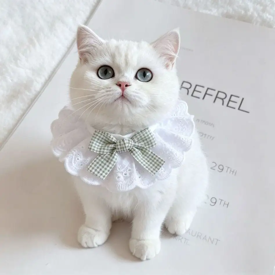 Cute cartoon Bowknot Cat Neckerchief Soft Decorative Pet Bib Adjustable Cat Scarf Cat Dogs Accessories
Cute cartoon Bowknot Cat Neckerchief Soft Decorative Pet Bib Adjustable Cat Scarf Cat Dogs Accessories