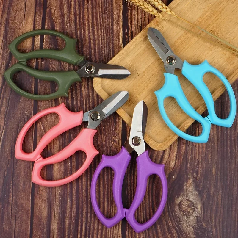 Stainless Steel Garden Pruning Scissors Flower Pruning Scissors Household Garden Fruit Picking Tools
Stainless Steel Garden Pruning Scissors Flower Pruning Scissors Household Garden Fruit Picking Tools