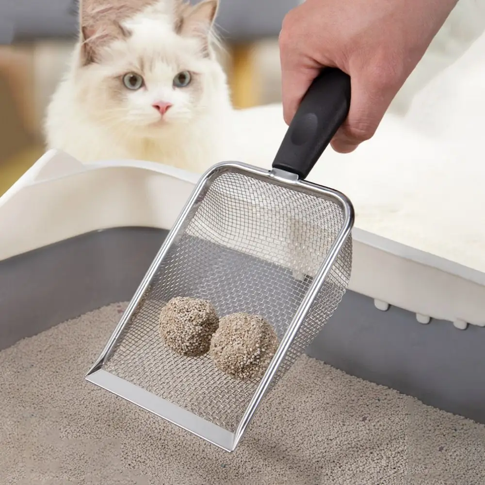 Metal Cat Litter Scooper Pet Poops Shovel Red/Black/Green Long Handle Cat Litter Tray Hollow Pet Garbage Shovel Puppy
Metal Cat Litter Scooper Pet Poops Shovel Red/Black/Green Long Handle Cat Litter Tray Hollow Pet Garbage Shovel Puppy