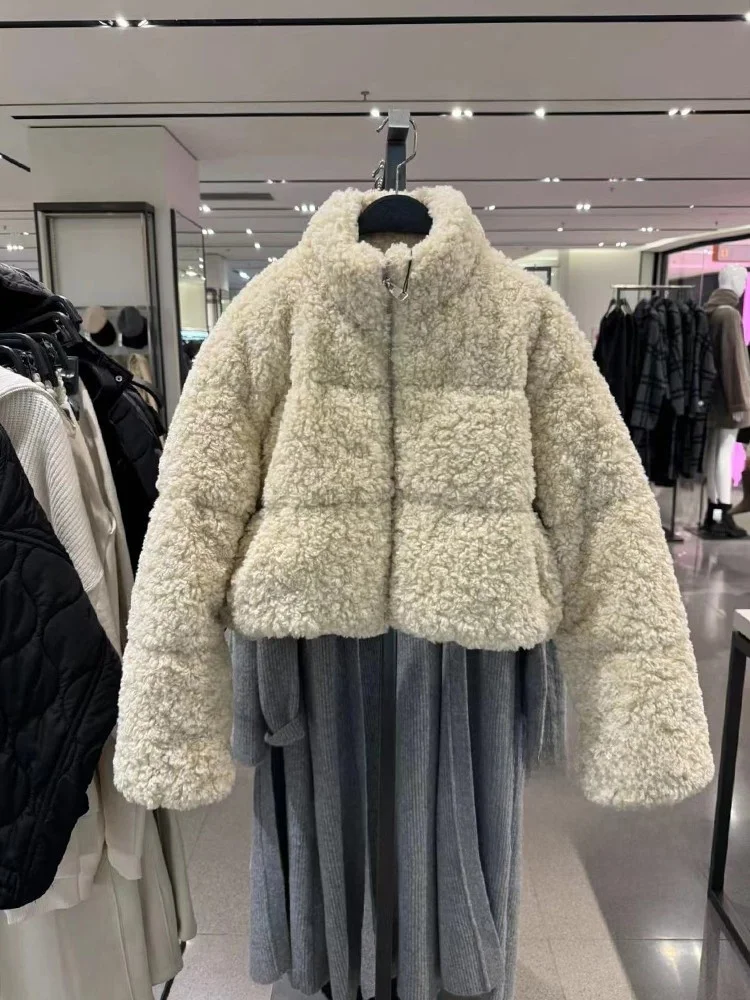 Autumn Winter Thickened Plush Jacket Women's Short Coat Stand Collar Commute Style Fleece Lined Versatile Casual Outerwear
Autumn Winter Thickened Plush Jacket Women's Short Coat Stand Collar Commute Style Fleece Lined Versatile Casual Outerwear
