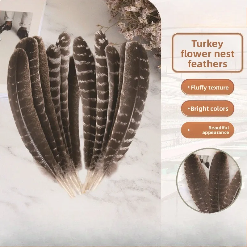 10 шт. 15-30 см натуральные перья DIY декоративные материалы для рукоделия цветок индейка гнездо перья
10 шт. 15-30 см натуральные перья DIY декоративные материалы для рукоделия цветок индейка гнездо перья