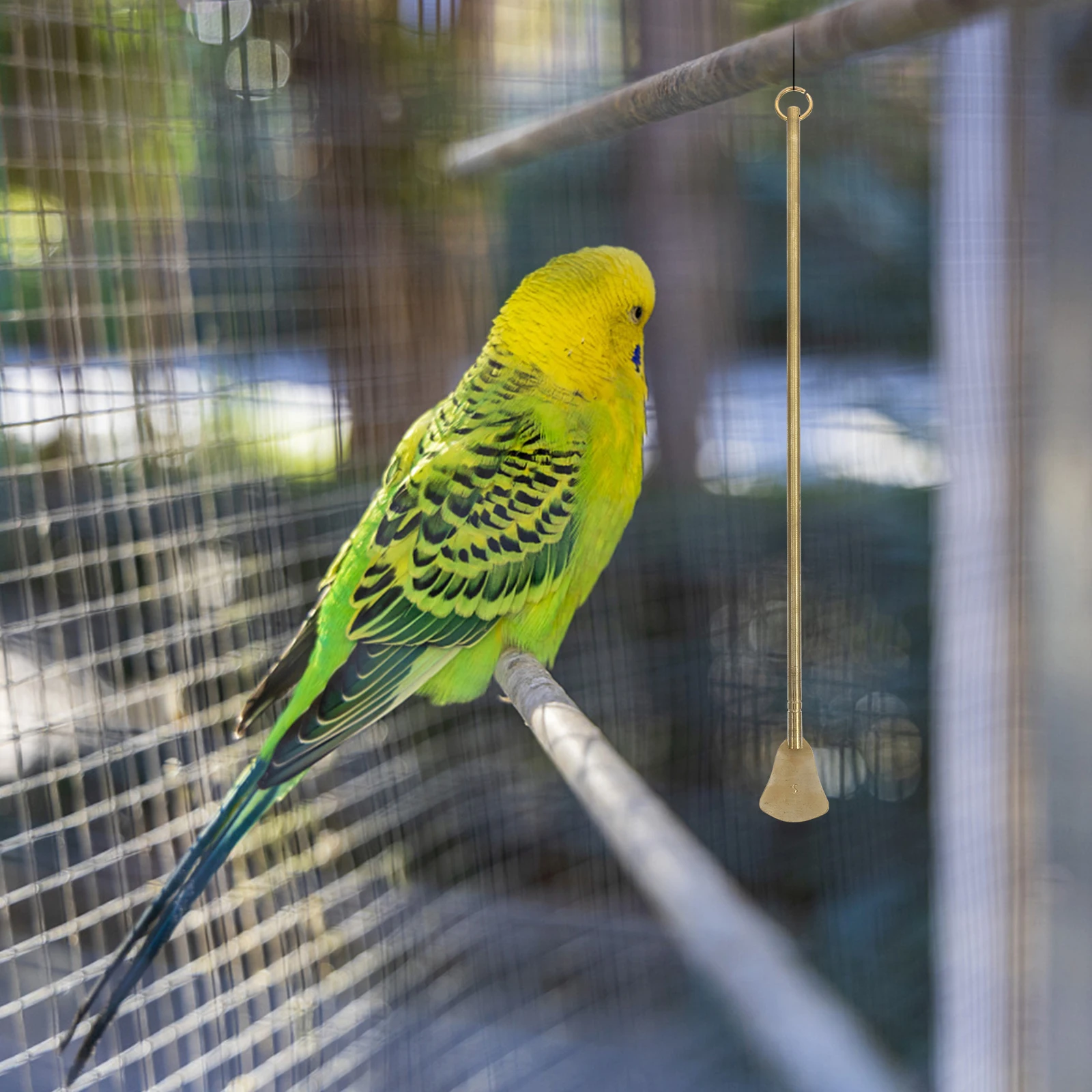 Bird Cage Cleaning Tool Long Handle Shovel for Bird Guano Pet Poop Remover Cage Scraper Sturdy Brass Durability Practicality
Bird Cage Cleaning Tool Long Handle Shovel for Bird Guano Pet Poop Remover Cage Scraper Sturdy Brass Durability Practicality