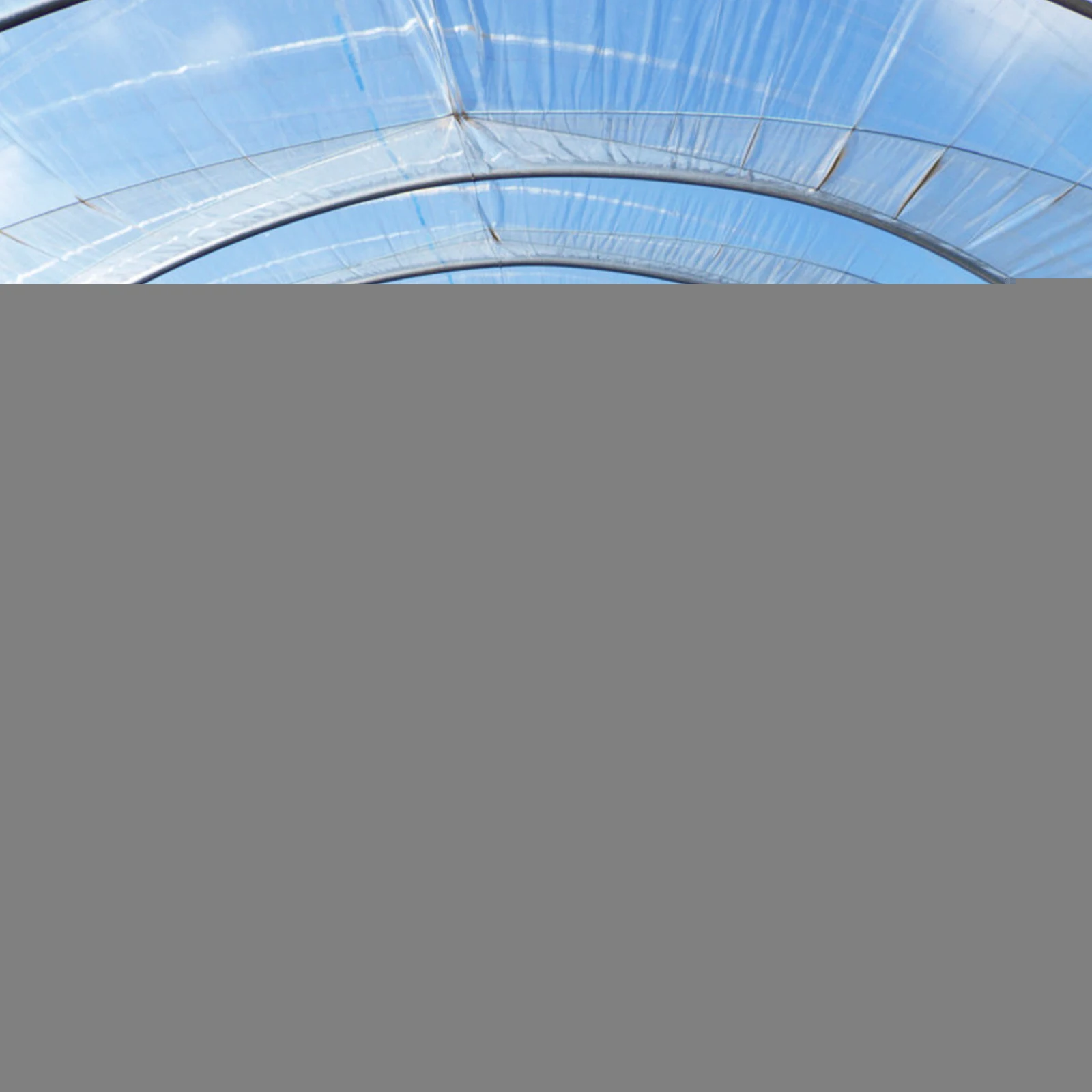 Greenhouse Repair Tape Clear Garden Grip Polyethylene Film Plant Grafting Tomato Weatherproof Sealing Reinforce
Greenhouse Repair Tape Clear Garden Grip Polyethylene Film Plant Grafting Tomato Weatherproof Sealing Reinforce