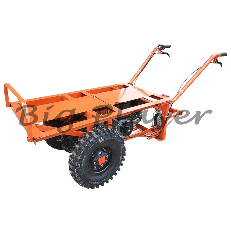 Agricultural Transport Truck Gasoline Engine Three-wheel Trolley Diesel Double-wheel Flatbed Truck
Agricultural Transport Truck Gasoline Engine Three-wheel Trolley Diesel Double-wheel Flatbed Truck