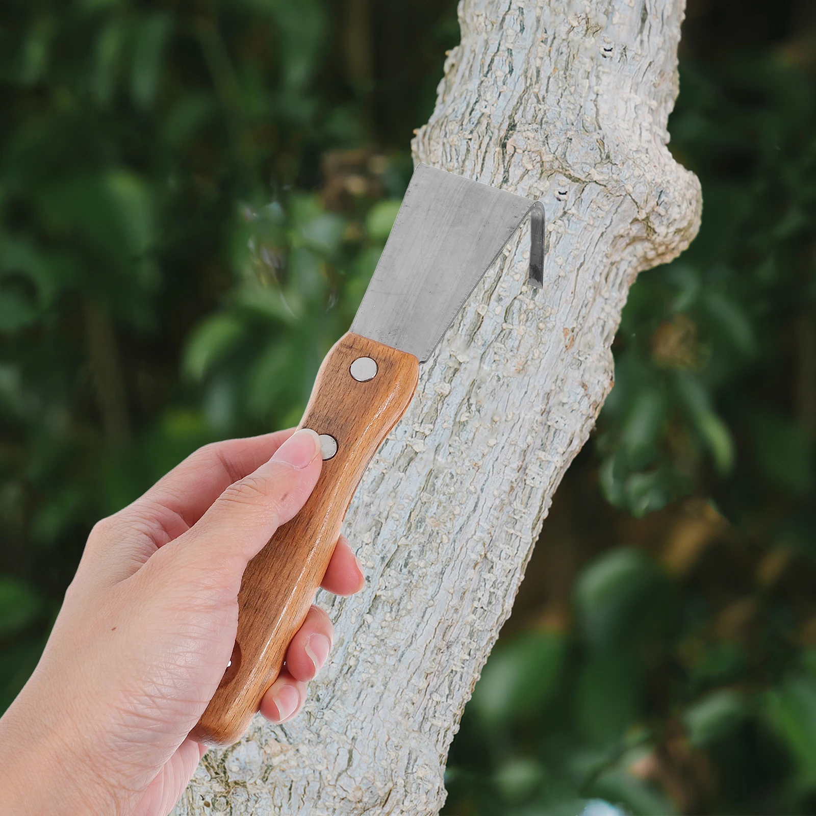 Scraping Bark Tool Draw Knife Debarking Wrench Stainless Spud Fruit Tree Garden Manual Operation Peeling Tree Bark
Scraping Bark Tool Draw Knife Debarking Wrench Stainless Spud Fruit Tree Garden Manual Operation Peeling Tree Bark