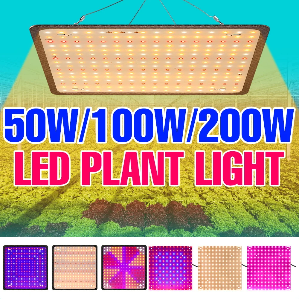 200W Full Spectrum Grow Light LED Quantum Board Plant Cultivation Lamp Greenhouse Tent Fruit Hydroponic Seeds Vegs Fill Lighting
200W Full Spectrum Grow Light LED Quantum Board Plant Cultivation Lamp Greenhouse Tent Fruit Hydroponic Seeds Vegs Fill Lighting
