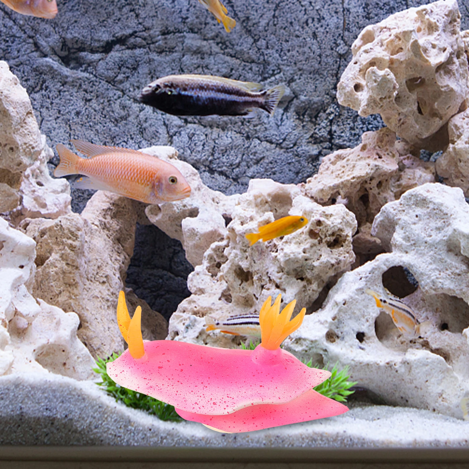 Fluorescent Figurine Safe Plastic Fish Tank Decor Aquarium DIY L scape Supply Realistic Detail Pet Gift
Fluorescent Figurine Safe Plastic Fish Tank Decor Aquarium DIY L scape Supply Realistic Detail Pet Gift