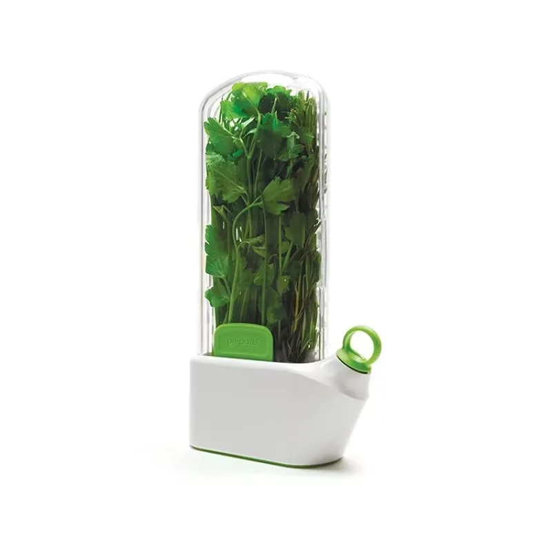 Coriander Asparagus Herb Vegetable Crisper Extend Food Freshness Refrigerator Storage
Coriander Asparagus Herb Vegetable Crisper Extend Food Freshness Refrigerator Storage
