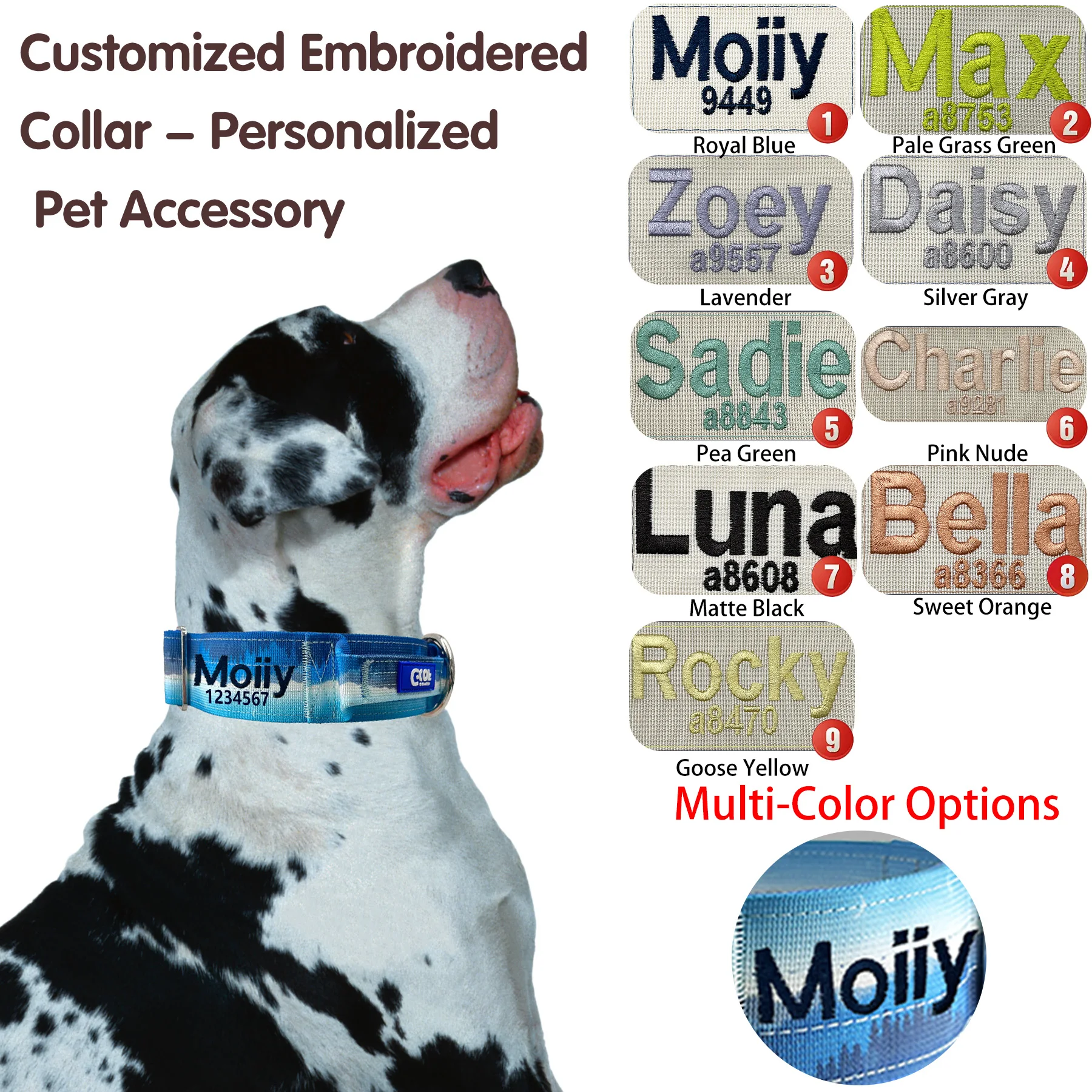 Customizable Name Dog Collar - Double Reinforced Explosion-Proof Adjustable for Small-Large Dogs Outdoor Training
Customizable Name Dog Collar - Double Reinforced Explosion-Proof Adjustable for Small-Large Dogs Outdoor Training
