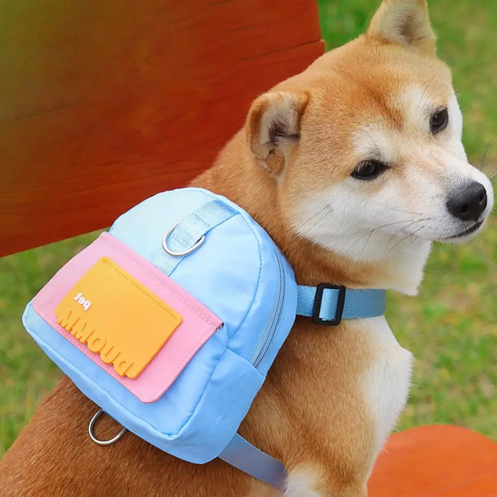Outdoor Travel Snacks Backpack for Pet, Two Traction Ring, Pet Treat Bag, French Bulldog Accessories, 1 Set
Outdoor Travel Snacks Backpack for Pet, Two Traction Ring, Pet Treat Bag, French Bulldog Accessories, 1 Set