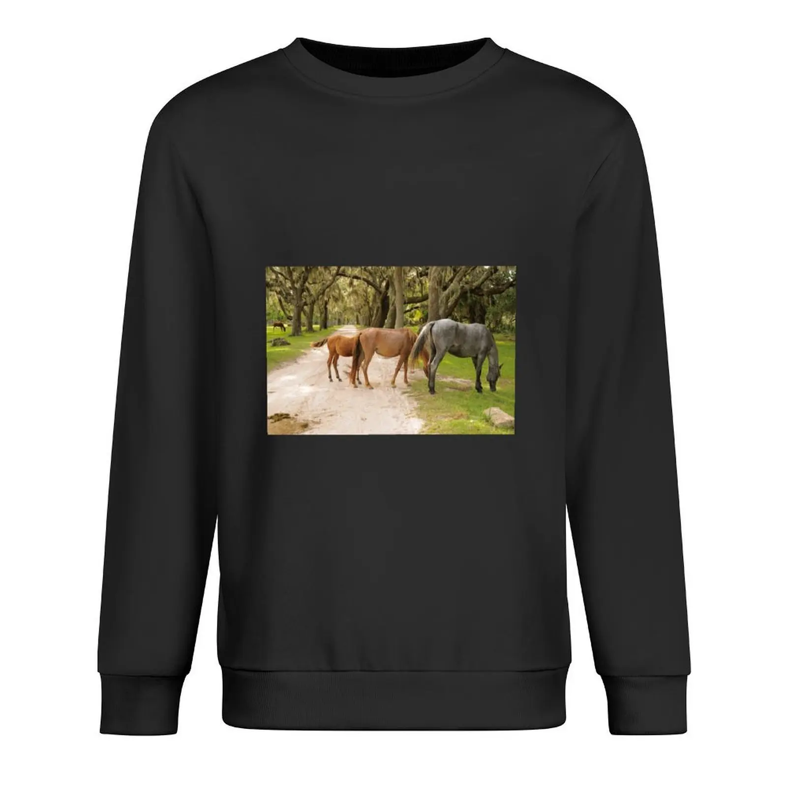 Cumberland Island Wild Horses have the run of the Island Pullover korean autumn clothes men's coat new in sweatshirts
Cumberland Island Wild Horses have the run of the Island Pullover korean autumn clothes men's coat new in sweatshirts