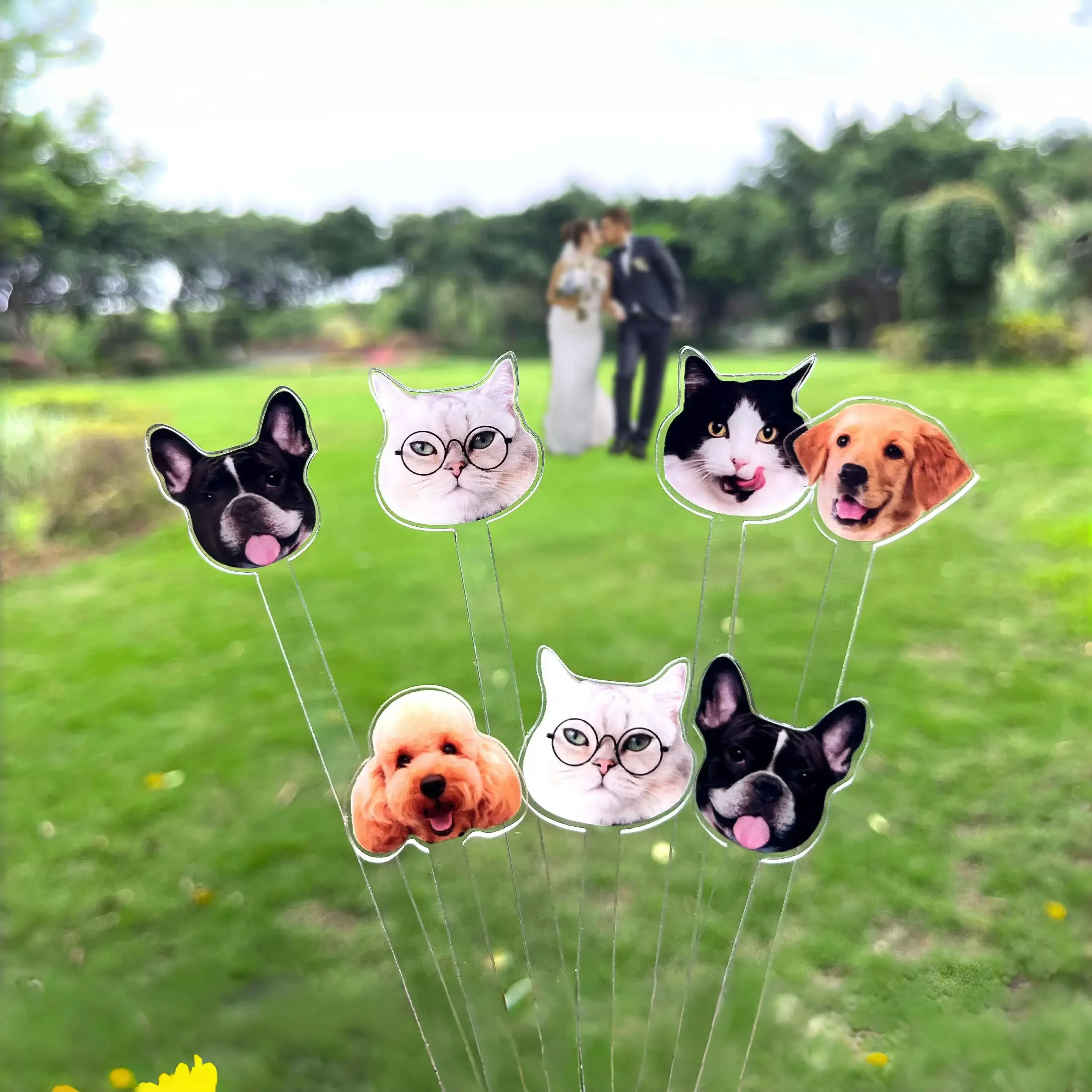Wedding Pet Stir Sticks Double-Sided Dog Cat Stir Stick Wedding Gift Acrylic Cocktail Stirrer Wedding Drink Tag Party Decoration
Wedding Pet Stir Sticks Double-Sided Dog Cat Stir Stick Wedding Gift Acrylic Cocktail Stirrer Wedding Drink Tag Party Decoration
