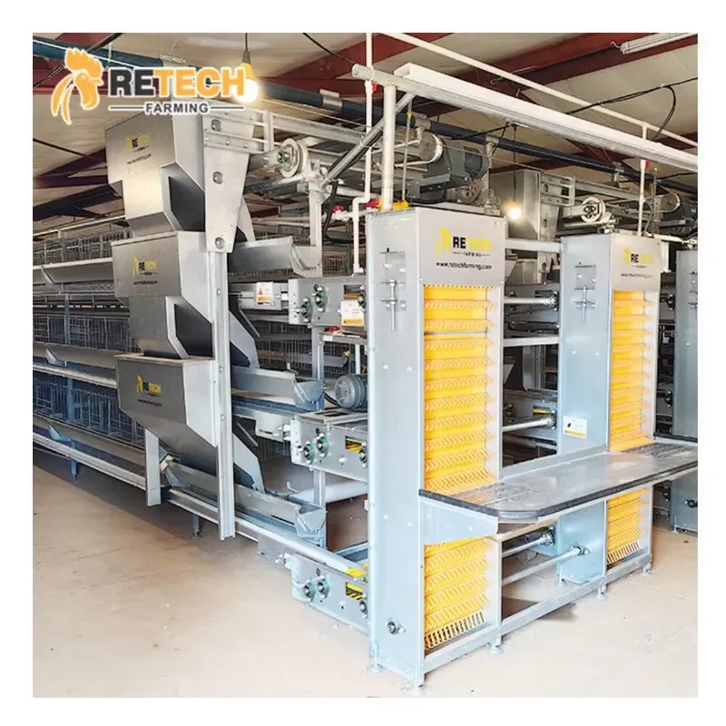 Design Automatic Battery Egg Chicken Layer Cage Poultry Cage for Kenya Farm
Design Automatic Battery Egg Chicken Layer Cage Poultry Cage for Kenya Farm
