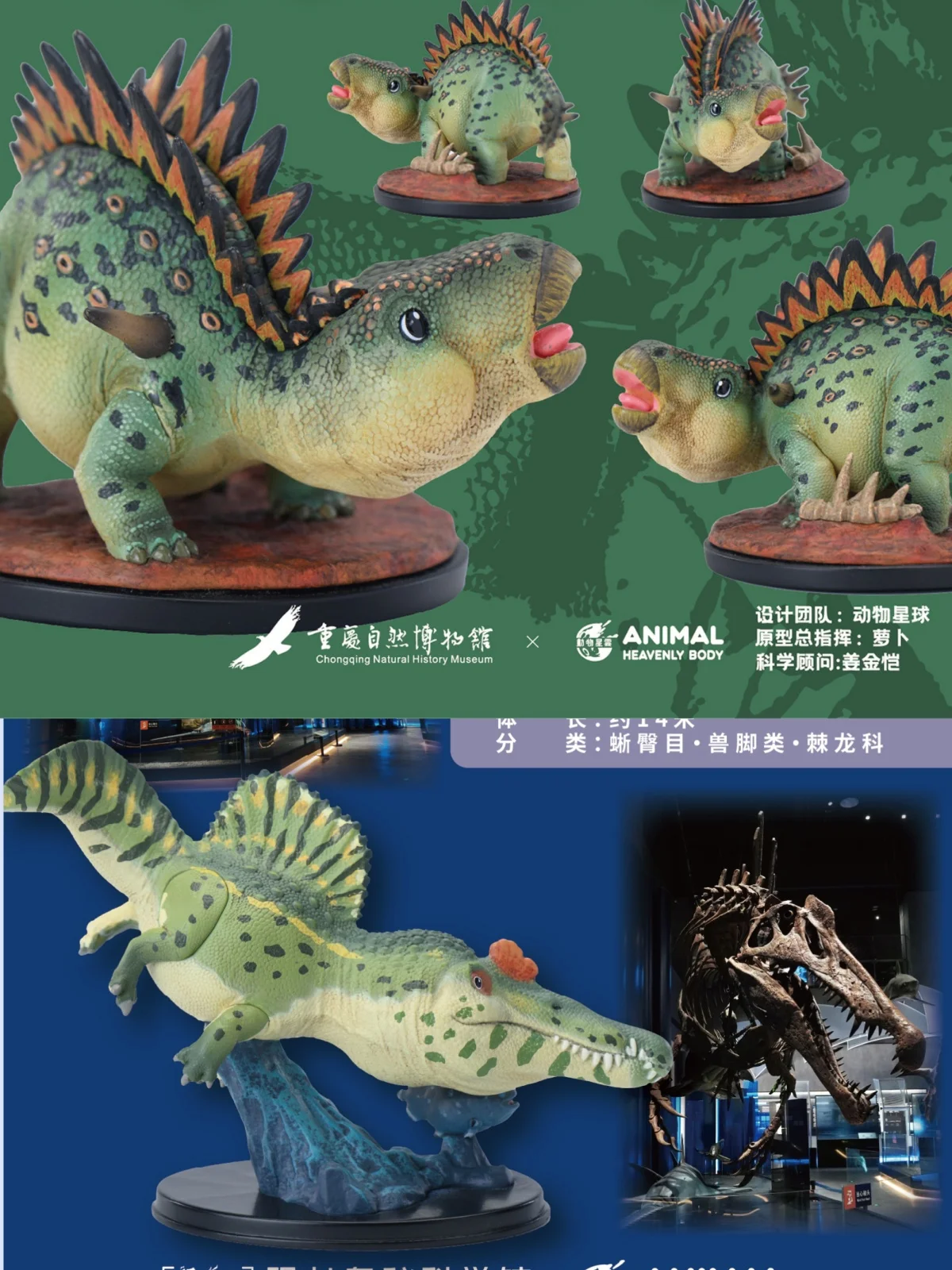 ANIMAL HEAVENLY BODY Studio Model Spinosaurus Chungkingosaurus Jiangbeiensis Dinosaur Animal Collection Scene Decoration
ANIMAL HEAVENLY BODY Studio Model Spinosaurus Chungkingosaurus Jiangbeiensis Dinosaur Animal Collection Scene Decoration