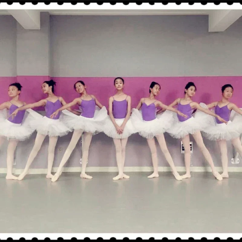 Adult Ballet Leotard Tutu Skirt Female Swan Lake Dance Costumes Professional Ballet Tutu Pancake Skirts For Women 6 Layers
Adult Ballet Leotard Tutu Skirt Female Swan Lake Dance Costumes Professional Ballet Tutu Pancake Skirts For Women 6 Layers
