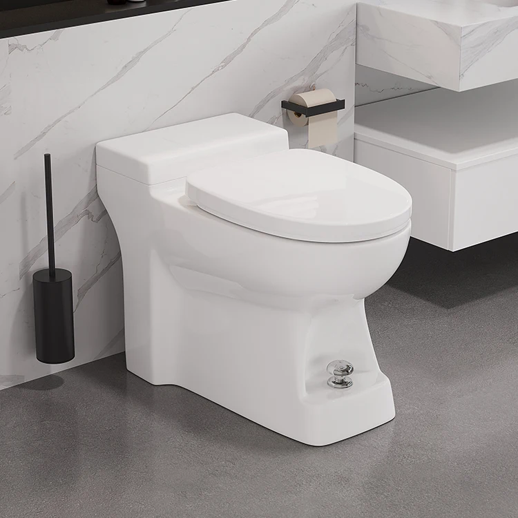 Toilet,No Water Tank Commode One Piece Ceramic Foot Step Flushing Floor Standing Toilet
Toilet,No Water Tank Commode One Piece Ceramic Foot Step Flushing Floor Standing Toilet