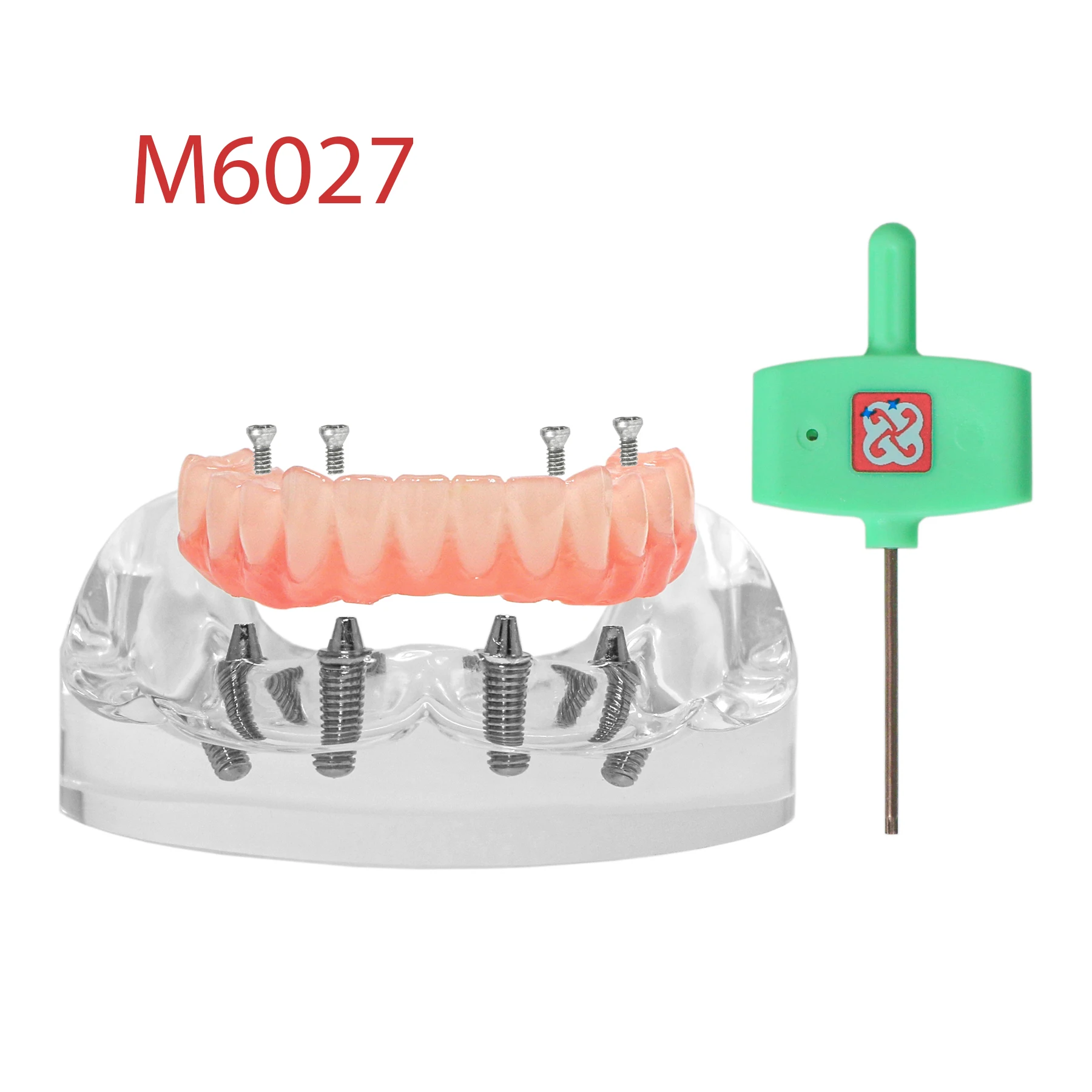 Dental Overdenture Restoration Teeth Model Lower Jaw Type With 4 Implants M6027
Dental Overdenture Restoration Teeth Model Lower Jaw Type With 4 Implants M6027