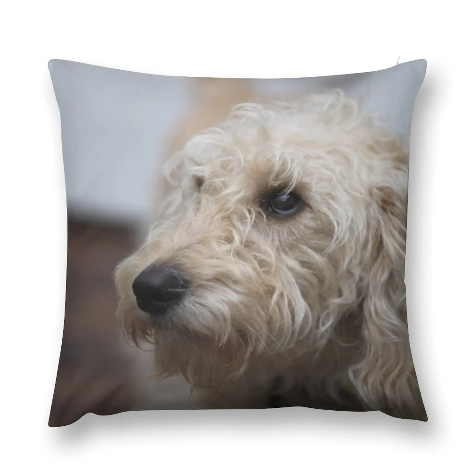Goldendoodle Puppy Throw Pillow Sofa Covers For Living Room Sofa Cushion Couch Cushions pillow
Goldendoodle Puppy Throw Pillow Sofa Covers For Living Room Sofa Cushion Couch Cushions pillow