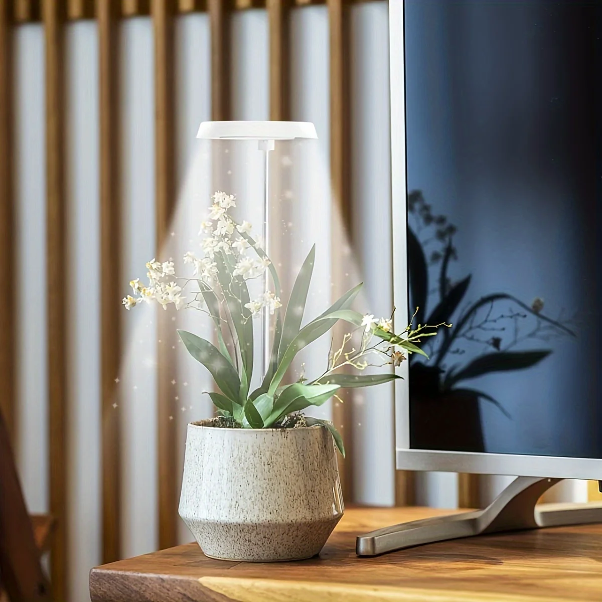 Circular plant lamp suitable for indoor plant growth-LED full-spectrum plant lamp with 4/8/12/18H timing function
Circular plant lamp suitable for indoor plant growth-LED full-spectrum plant lamp with 4/8/12/18H timing function