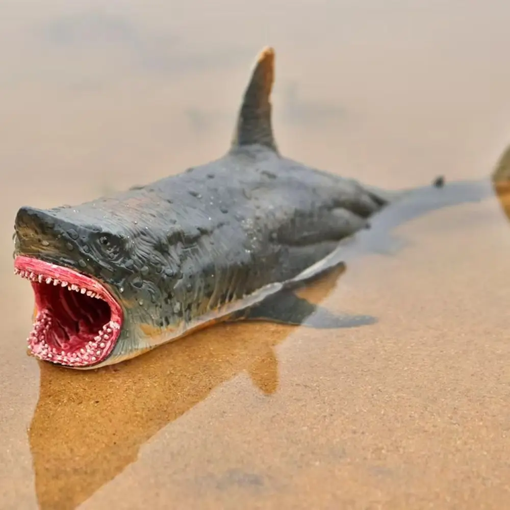 Plastic Sea Life Animals Model Realistic Statue Ocean Animals Ornaments Crafts Collectible Simulated Shark Decorations
Plastic Sea Life Animals Model Realistic Statue Ocean Animals Ornaments Crafts Collectible Simulated Shark Decorations