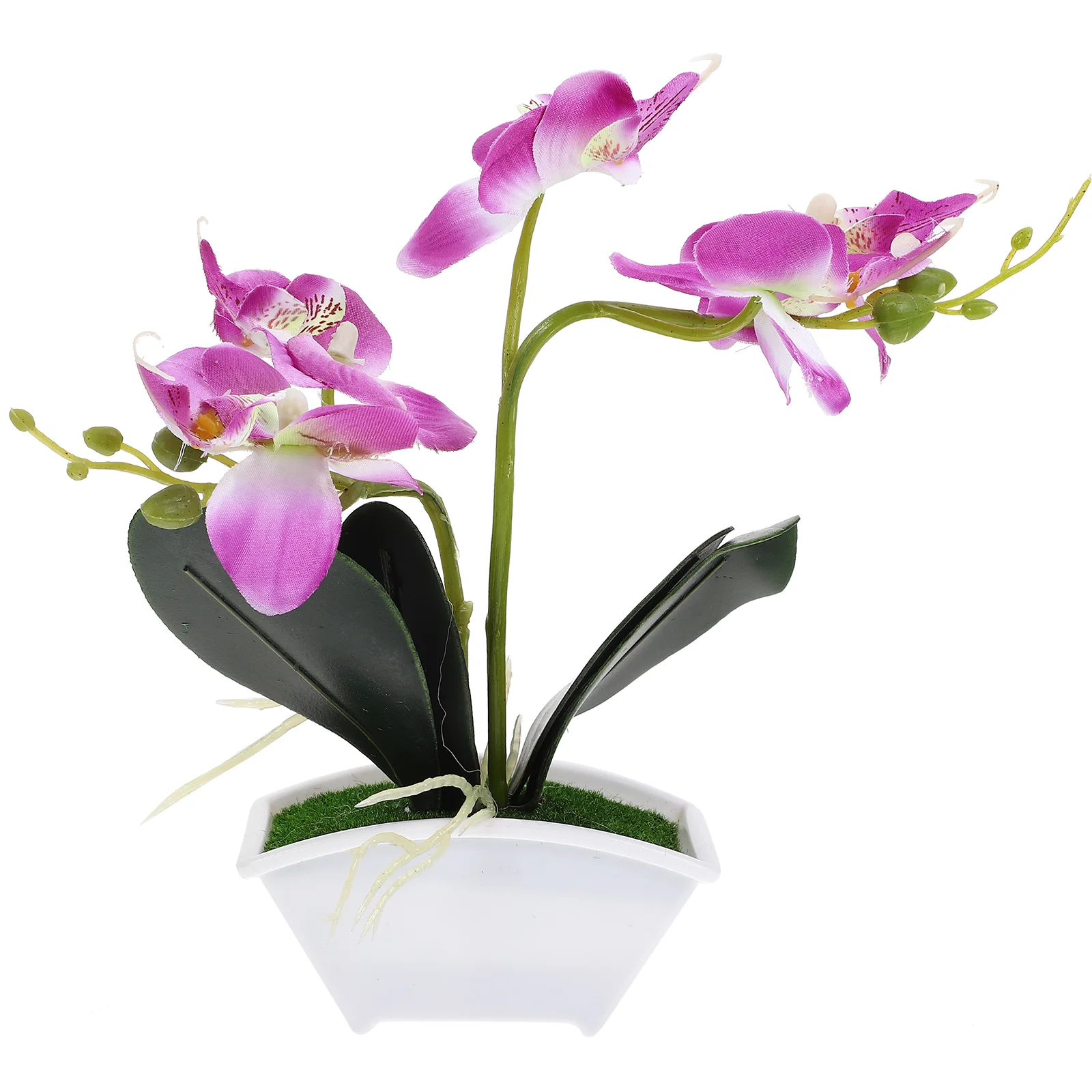 Desk Bonsai Fruit Tree Faux Plants Kitchen Silk Flower Fake Orchid Decor for Bathroom
Desk Bonsai Fruit Tree Faux Plants Kitchen Silk Flower Fake Orchid Decor for Bathroom
