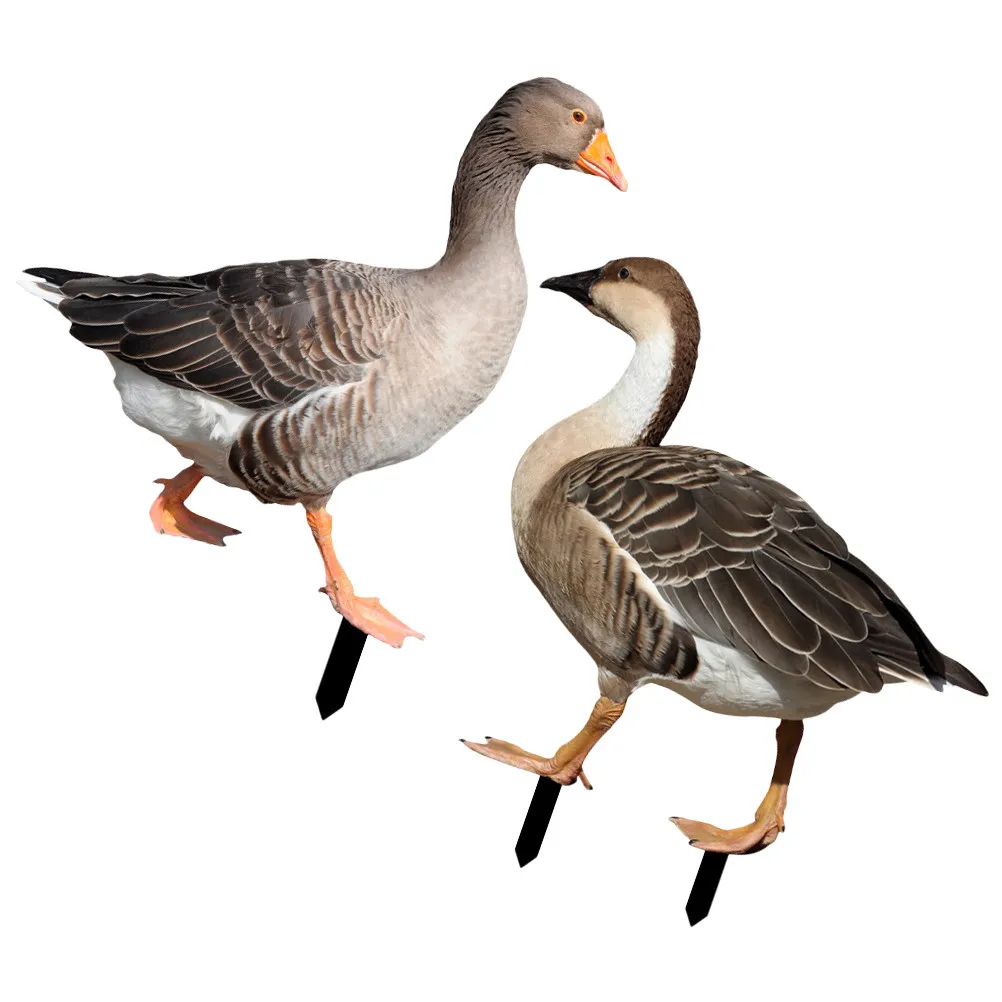 2 шт. компактных легких акриловых садовых декоративных фигурок животных для газона, двора, патио, улицы, украшения сада, садового знака
2 шт. компактных легких акриловых садовых декоративных фигурок животных для газона, двора, патио, улицы, украшения сада, садового знака