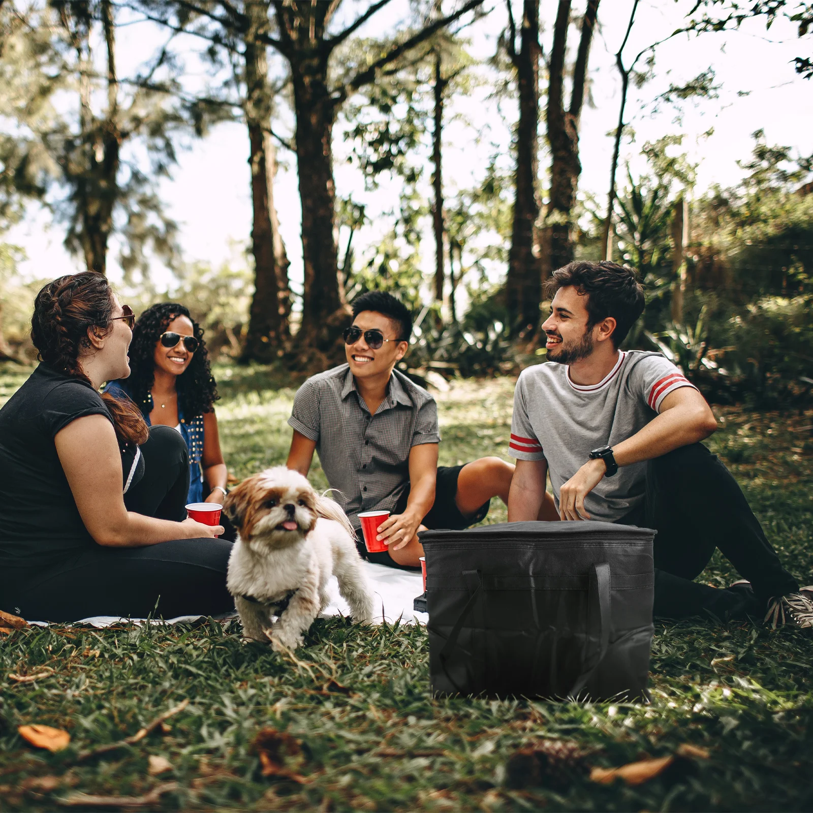 Insulated Grocery Bag Heavy Duty Reusable Cooler Tote for Shopping Travel Picnic Bento Fresh Keeping Bag Black
Insulated Grocery Bag Heavy Duty Reusable Cooler Tote for Shopping Travel Picnic Bento Fresh Keeping Bag Black