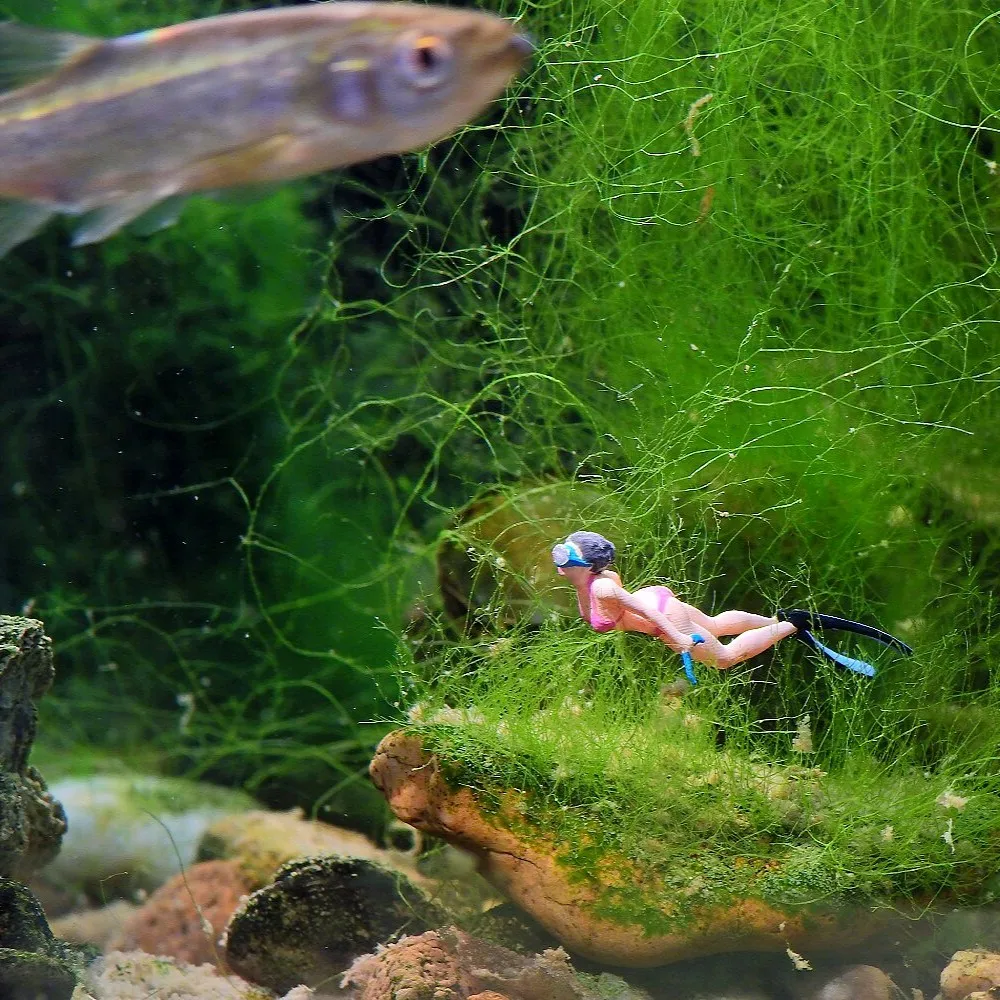 1/87 Diving Beauty, 1/64 Scale New Toy, Garden Bonsai, Rockery Miniature Landscape Decoration Piece 
1/87 Diving Beauty, 1/64 Scale New Toy, Garden Bonsai, Rockery Miniature Landscape Decoration Piece