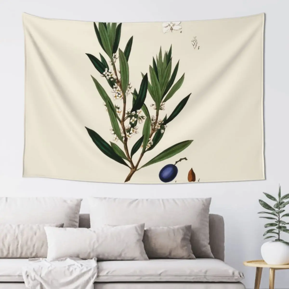 Olive Branch Antique Botanical Illustration Tapestry Outdoor Decor Home And Comfort Decor Tapestry
Olive Branch Antique Botanical Illustration Tapestry Outdoor Decor Home And Comfort Decor Tapestry