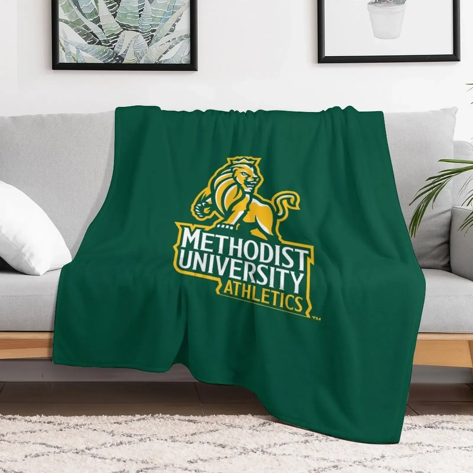 Methodist MONARCHS FAYETTEVILLE NC Throw Blanket christmas decoration Retros Blankets
Methodist MONARCHS FAYETTEVILLE NC Throw Blanket christmas decoration Retros Blankets