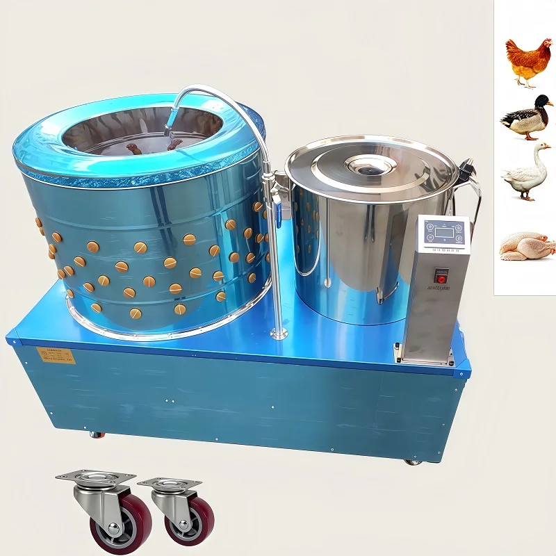 Advanced Rotary Drum Chicken Feather Plucking System
Advanced Rotary Drum Chicken Feather Plucking System