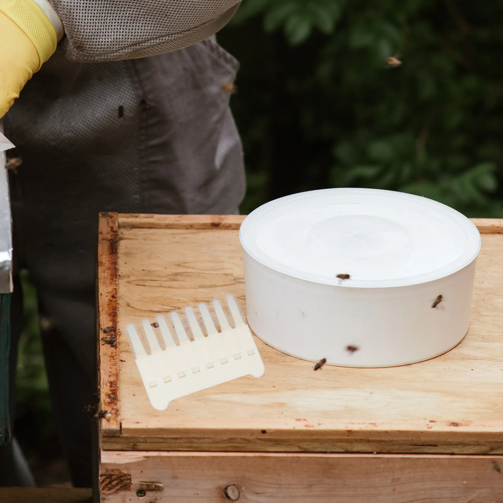 Royal Jelly 8 Heads Beekeeping Tool Pulp Taking Pen Durable Scrape Equipment Reliable Outdoor Supplies Hive
Royal Jelly 8 Heads Beekeeping Tool Pulp Taking Pen Durable Scrape Equipment Reliable Outdoor Supplies Hive