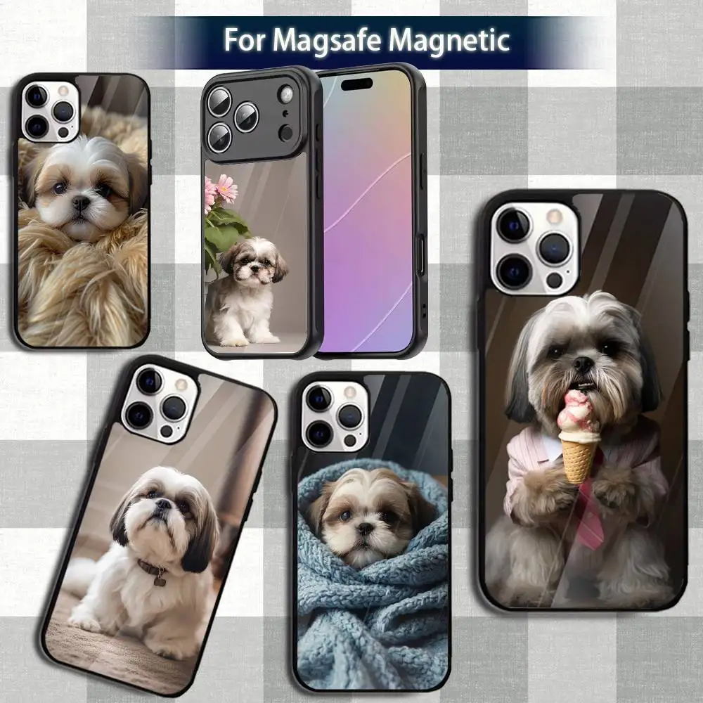 cute S-Shih Tzu Dog Pet Phone Case For iPhone 13,12,15,17,11,16,14,Pro,Max,Plus,Mini,Magsafe,Magnetic Wireless Charging Case
cute S-Shih Tzu Dog Pet Phone Case For iPhone 13,12,15,17,11,16,14,Pro,Max,Plus,Mini,Magsafe,Magnetic Wireless Charging Case