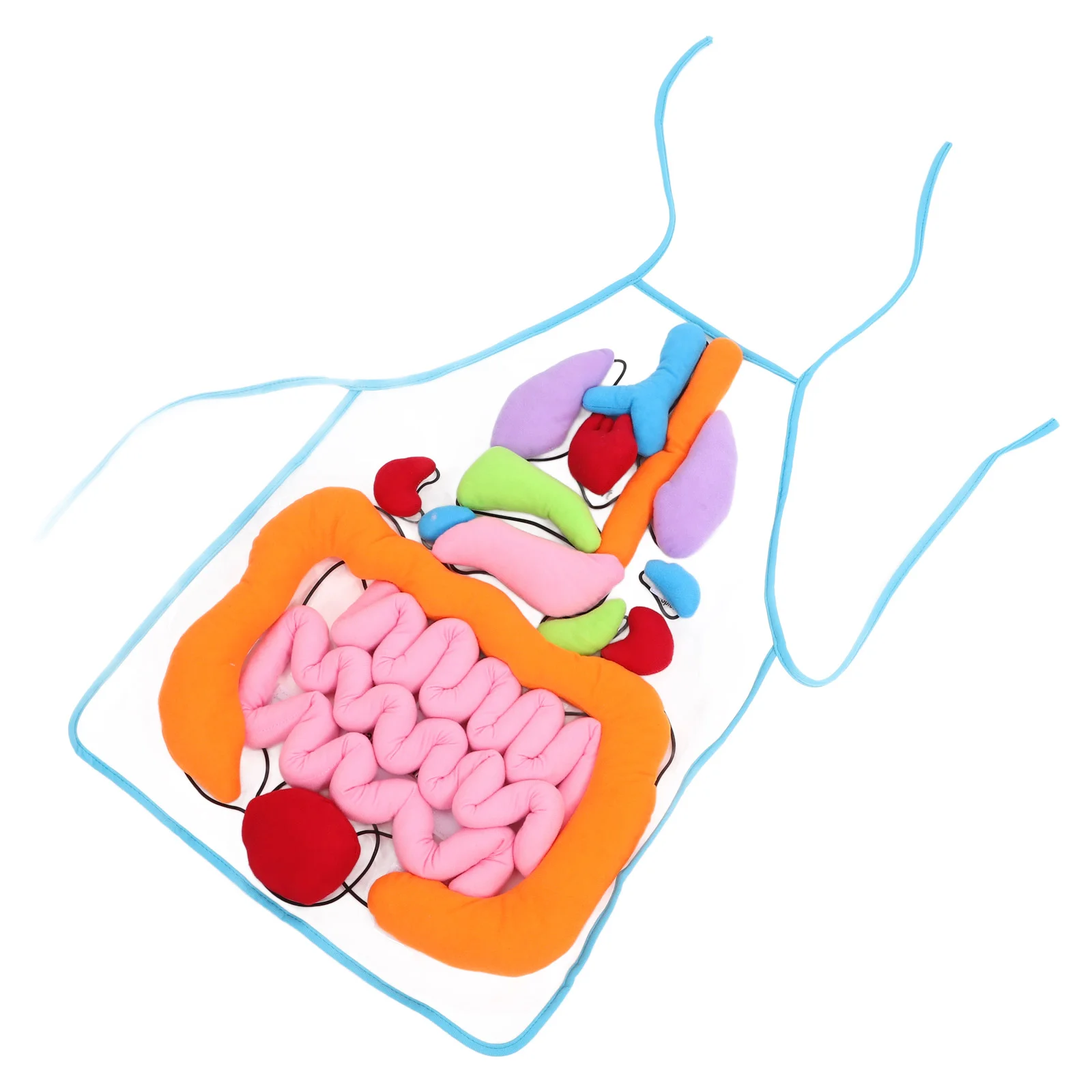 Organ Apron Teaching Aids Early Education Tool Preschool 3D Human Organs Toddler Puzzles
Organ Apron Teaching Aids Early Education Tool Preschool 3D Human Organs Toddler Puzzles