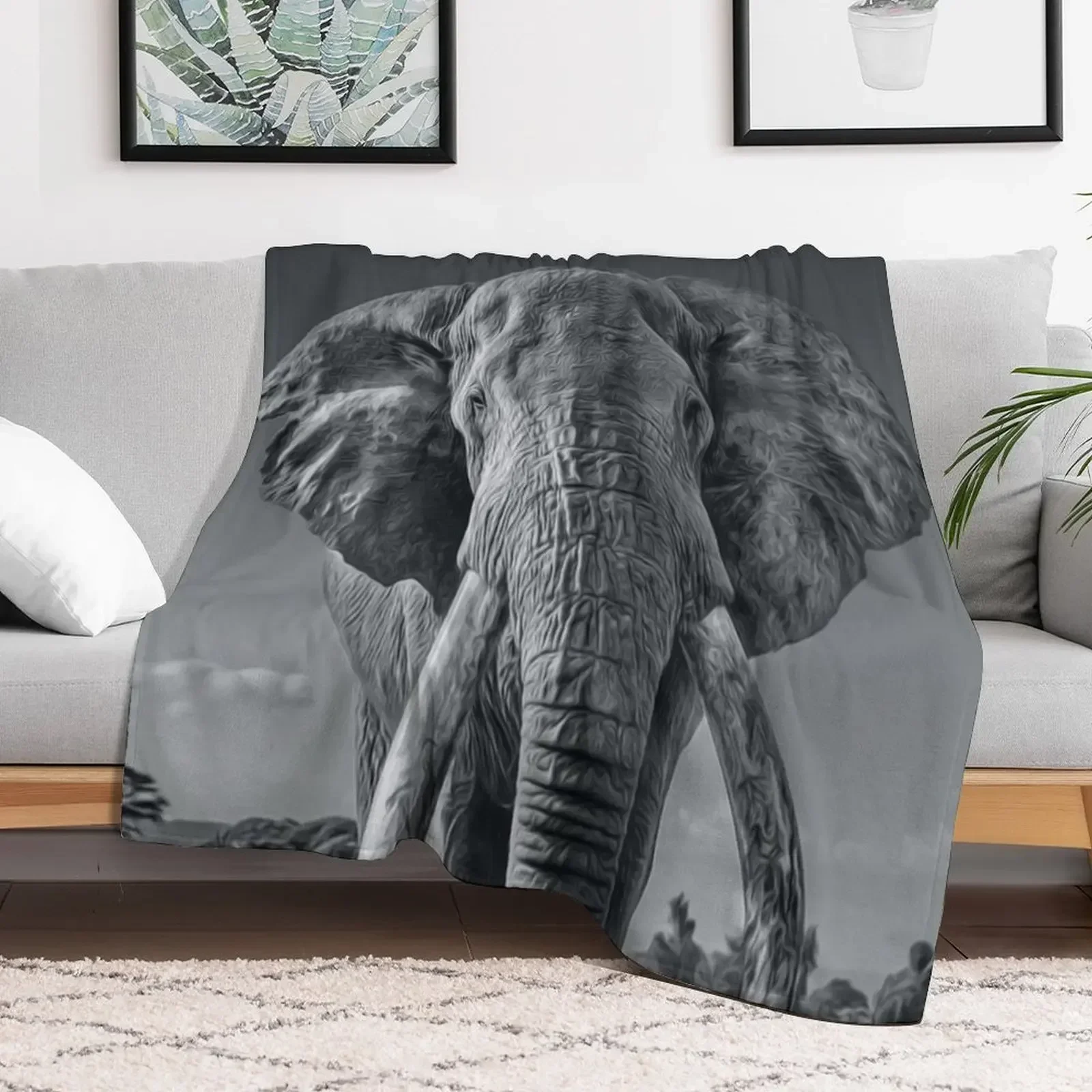 THE GREAT ELEPHANT Throw Blanket Bed covers Nap valentine gift ideas Blankets
THE GREAT ELEPHANT Throw Blanket Bed covers Nap valentine gift ideas Blankets