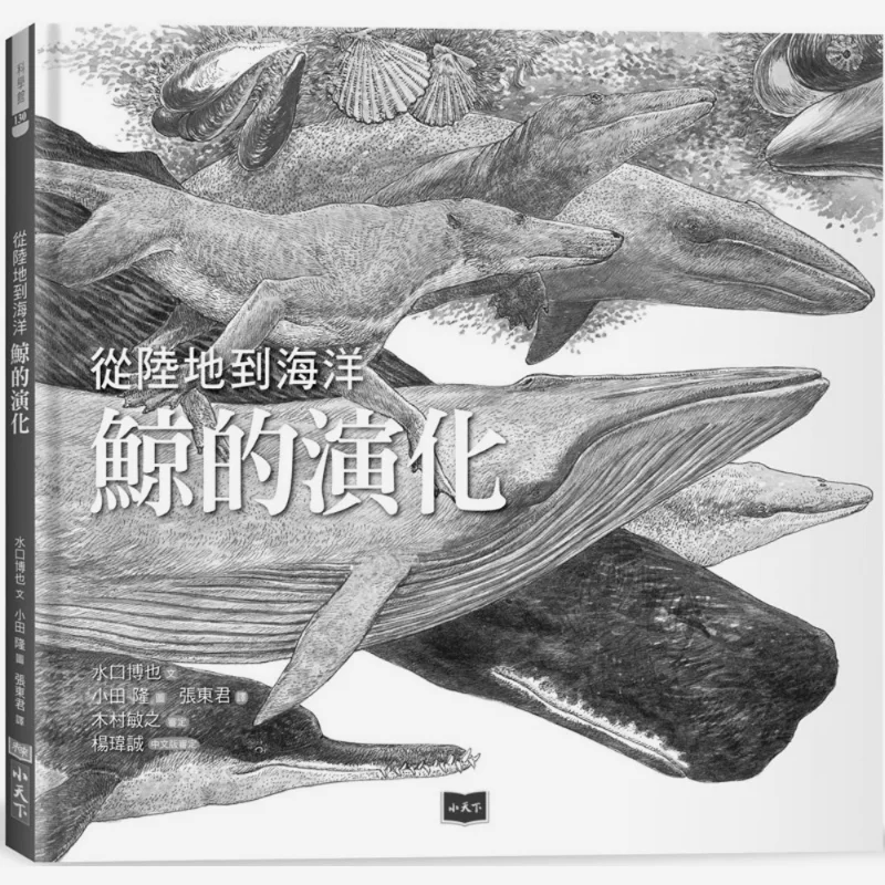 The Evolution Of Whales From Land To Sea The Latest Whale Knowledge X Marine Science Picture Book Hiroya Mizuchi 9786263558847
The Evolution Of Whales From Land To Sea The Latest Whale Knowledge X Marine Science Picture Book Hiroya Mizuchi 9786263558847