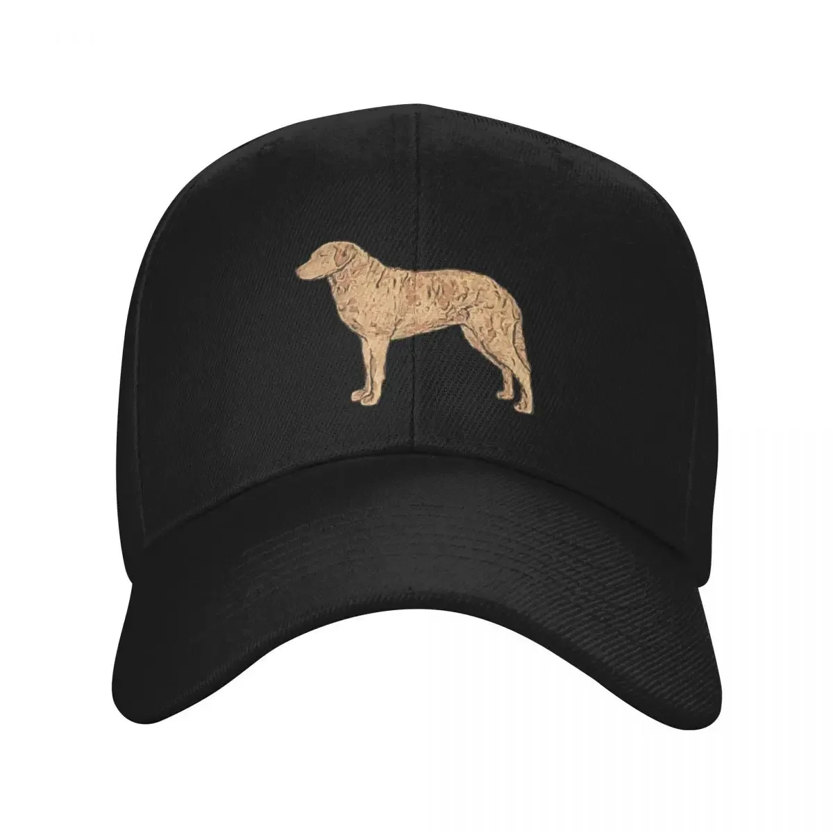 Chesapeake Bay Retriever colorful silhouette Baseball Cap Fashion Beach luxury caps sun hat For Girls Men's
Chesapeake Bay Retriever colorful silhouette Baseball Cap Fashion Beach luxury caps sun hat For Girls Men's