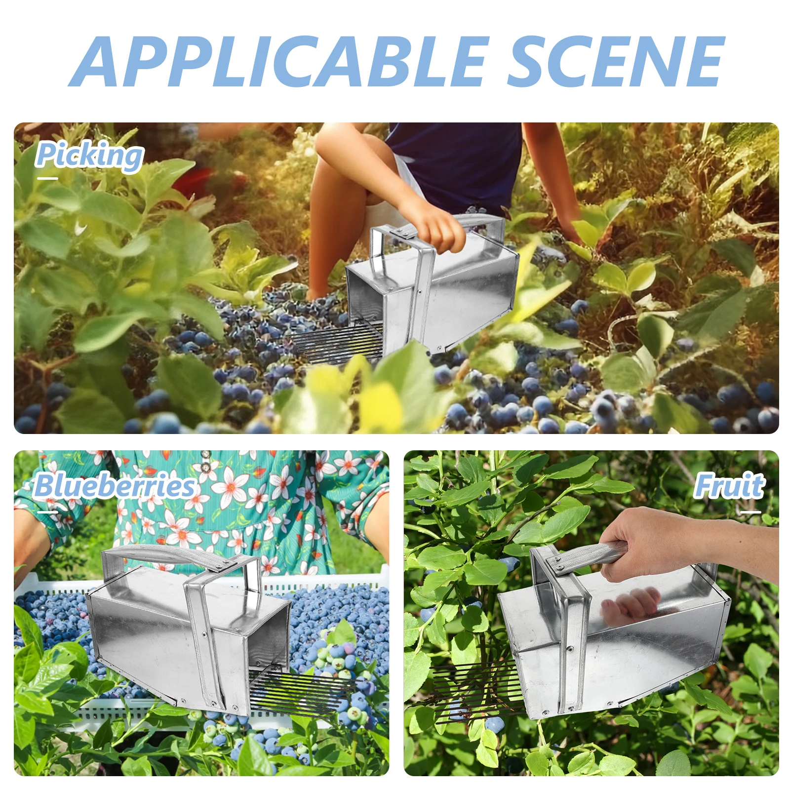 Picking Basket Berry Picker Tool Fruit Blueberry Baskets Catcher Rake Comb Scoop Portable Harvest Device Storage Container Labor
Picking Basket Berry Picker Tool Fruit Blueberry Baskets Catcher Rake Comb Scoop Portable Harvest Device Storage Container Labor